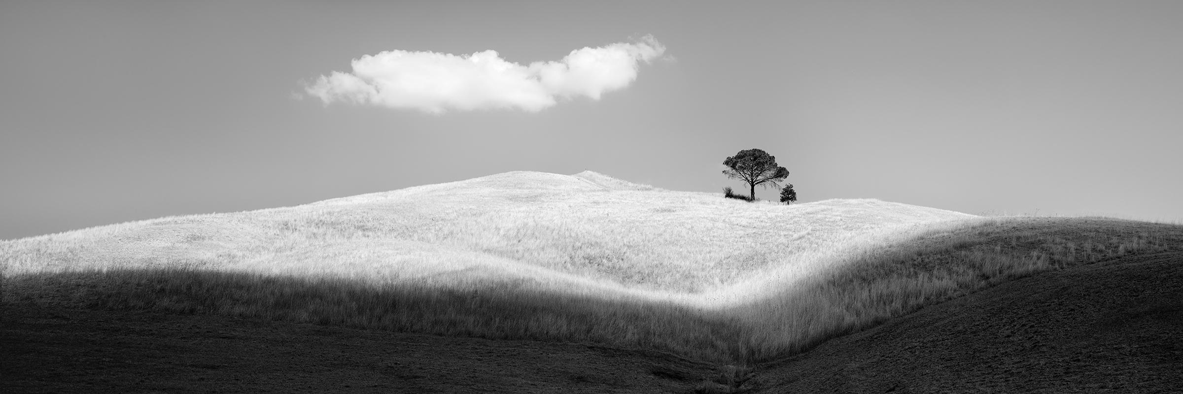 Gerald Berghammer Landscape Photograph – Italienische Stein Kiefern, Toskana, Italien, Schwarz-Weiß-Fotografie, limitierte Auflage