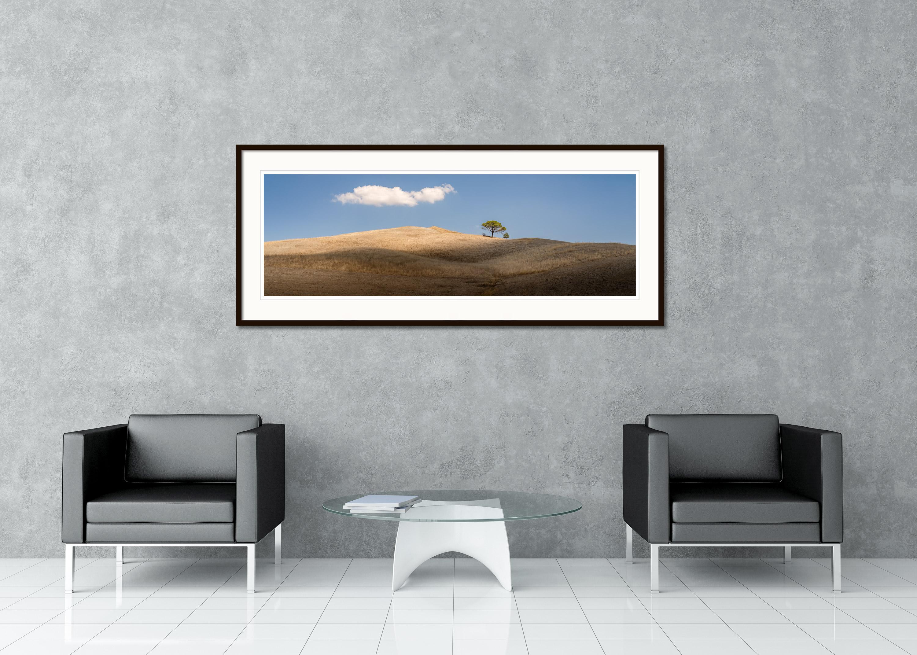 Italian Stone Pines, Tuscany, Italy, colour fine art image print, landscape - Gray Landscape Photograph by Gerald Berghammer