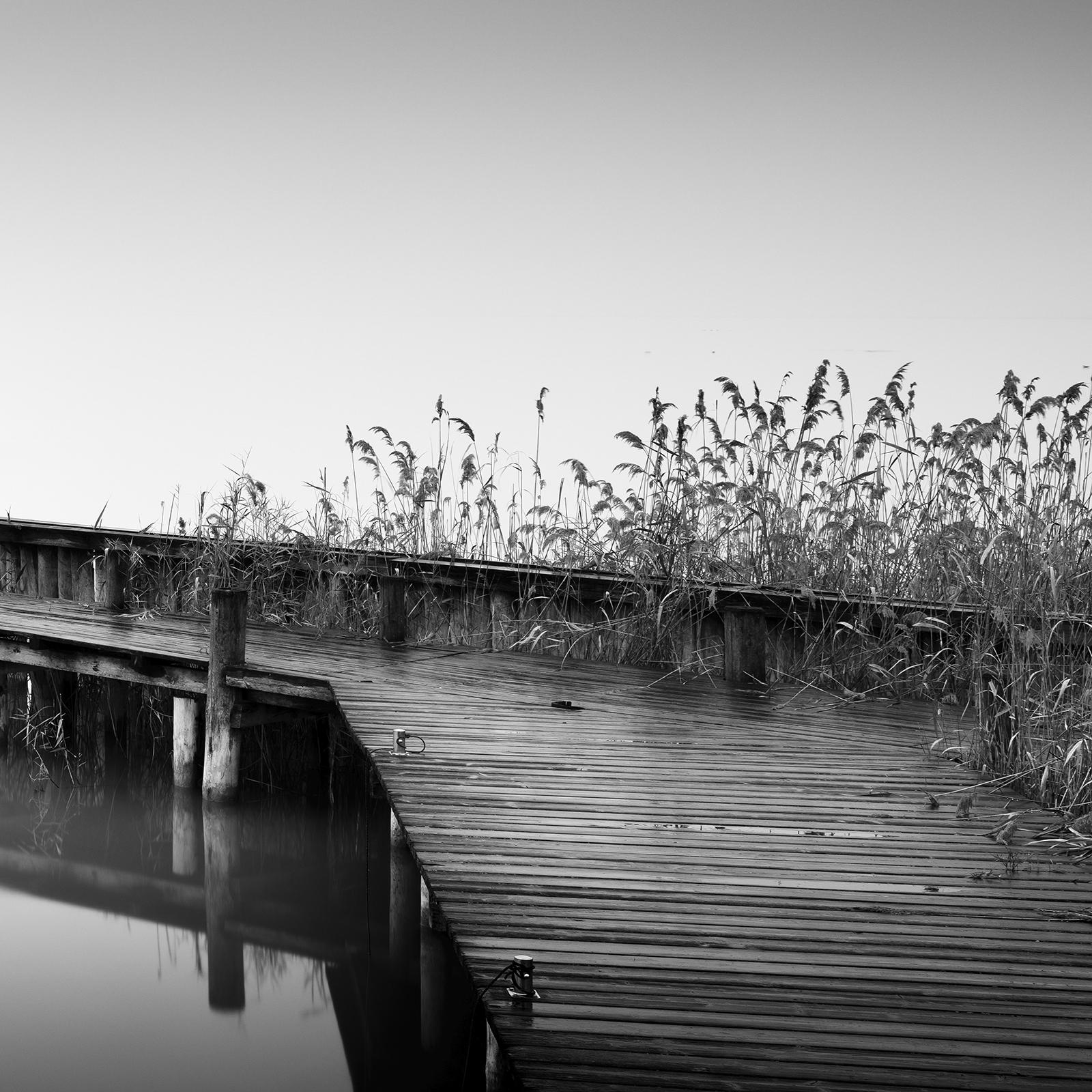 Jetty on calm Lake Panorama, black and white photography, waterscape fine art  For Sale 6
