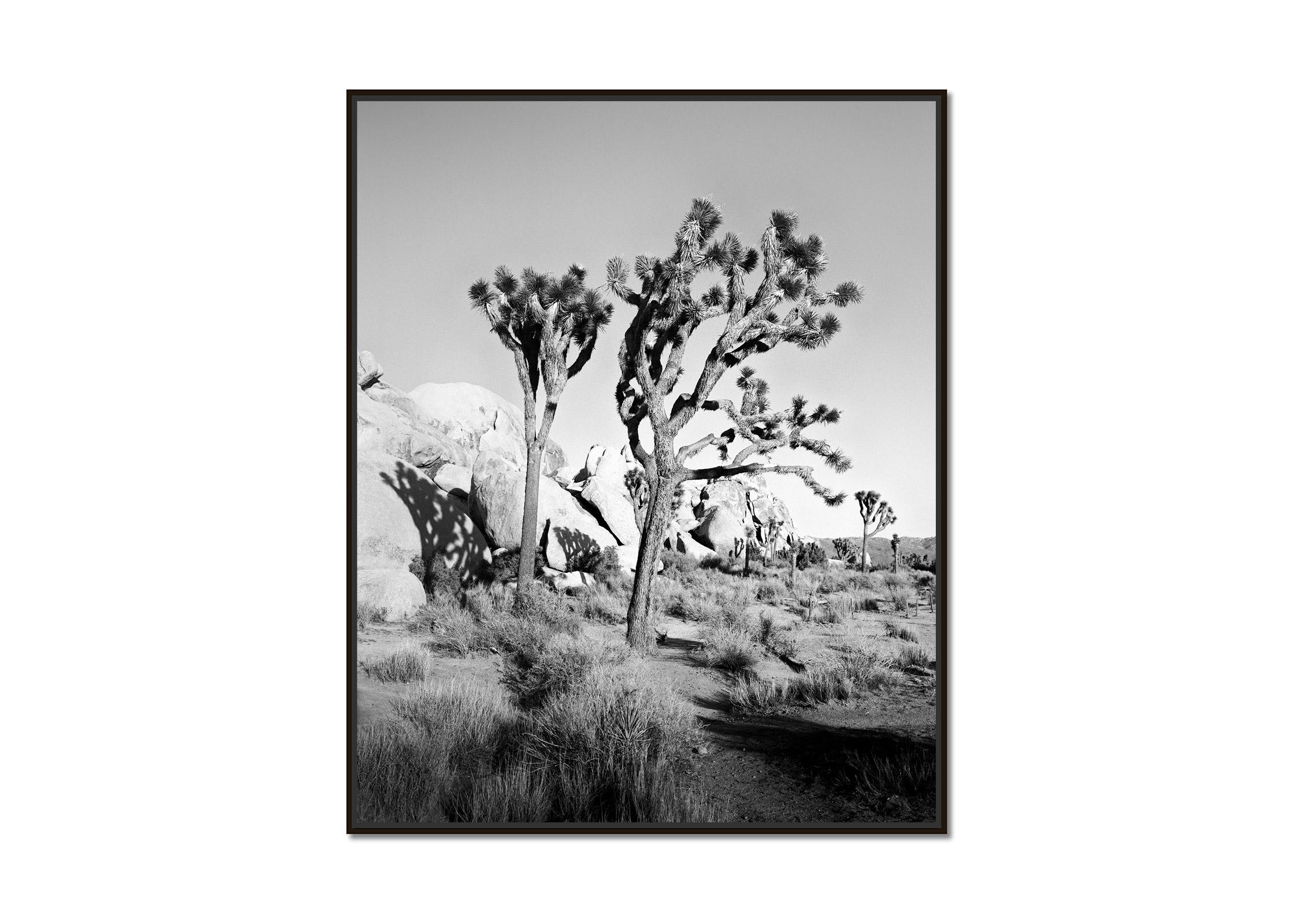 Joshua Tree, National Park, California, USA, black white photography, landscape - Photograph by Gerald Berghammer
