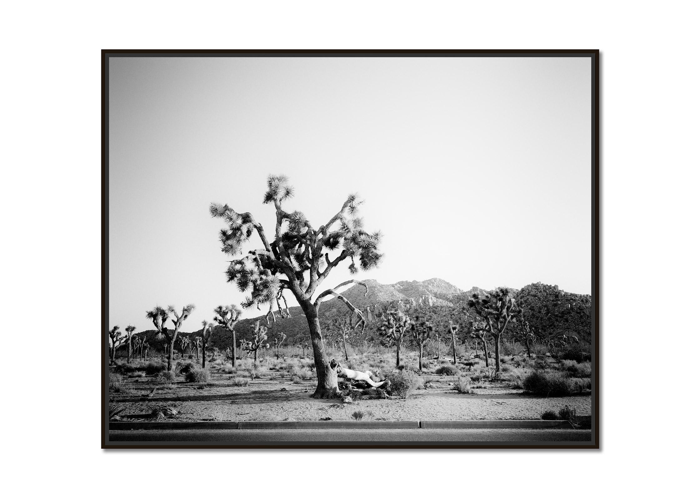 Joshua Tree, National park, California, USA, black & white landscape photography - Photograph by Gerald Berghammer