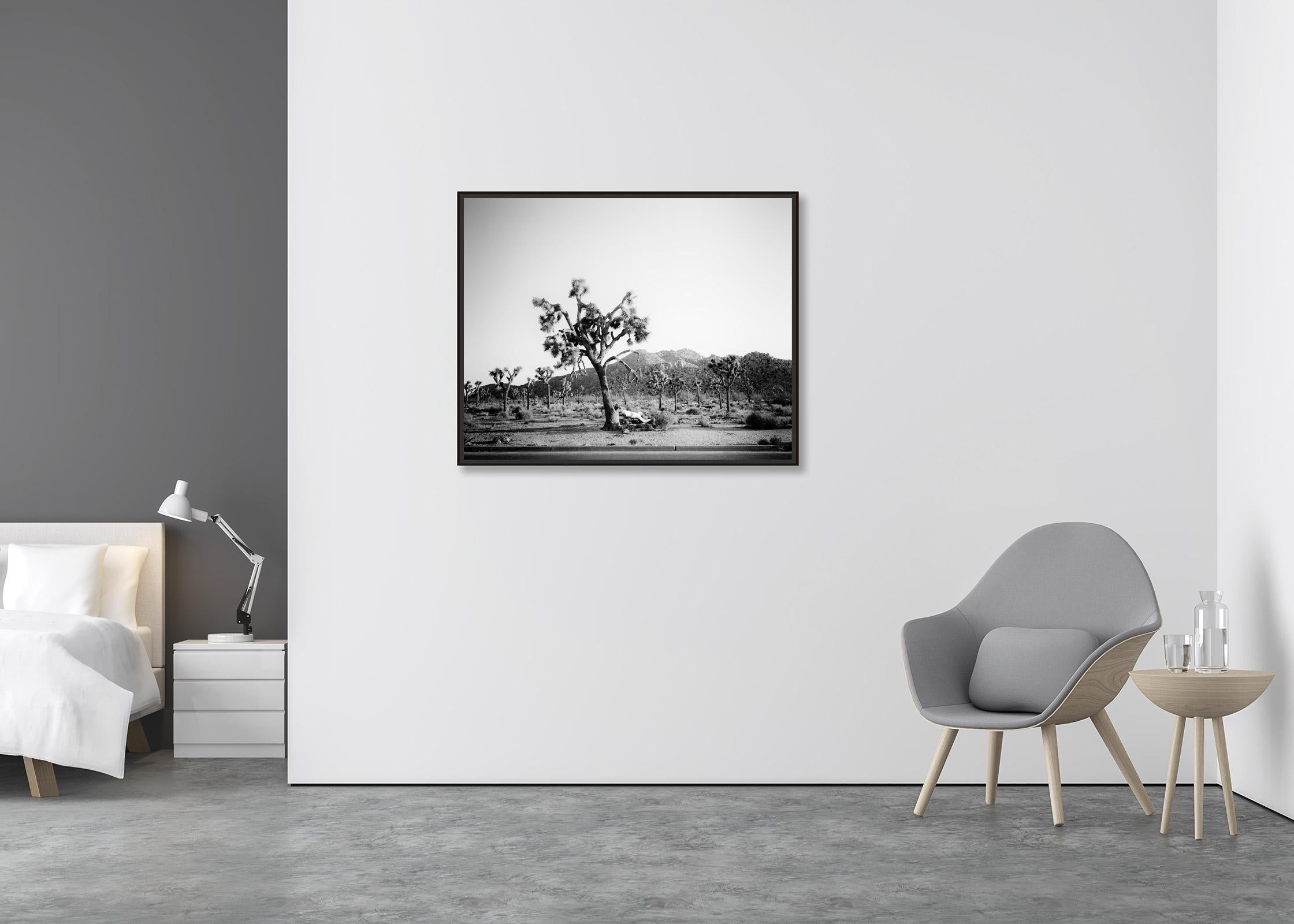 Joshua Tree, National park, California, USA, black & white landscape photography - Contemporary Photograph by Gerald Berghammer