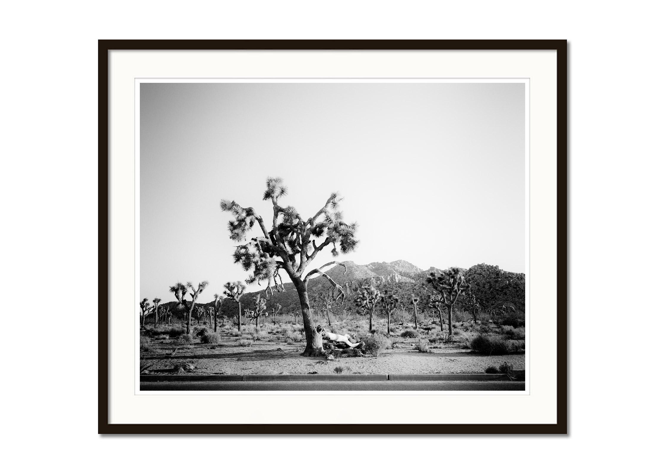 Joshua Tree, National park, California, USA, black & white landscape photography - Gray Black and White Photograph by Gerald Berghammer