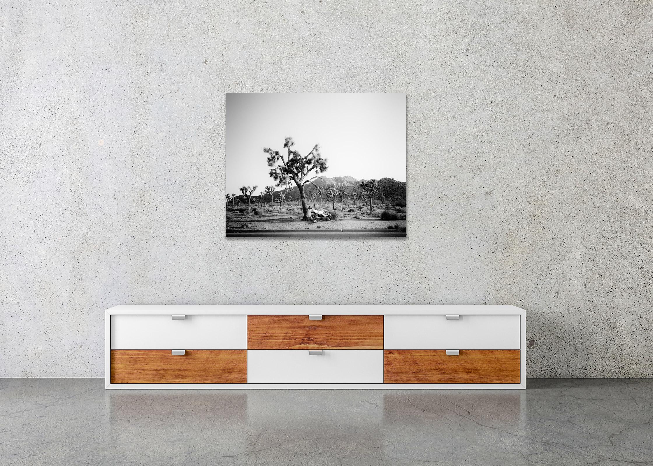 Joshua Tree, National park, California, USA, black & white landscape photography For Sale 2