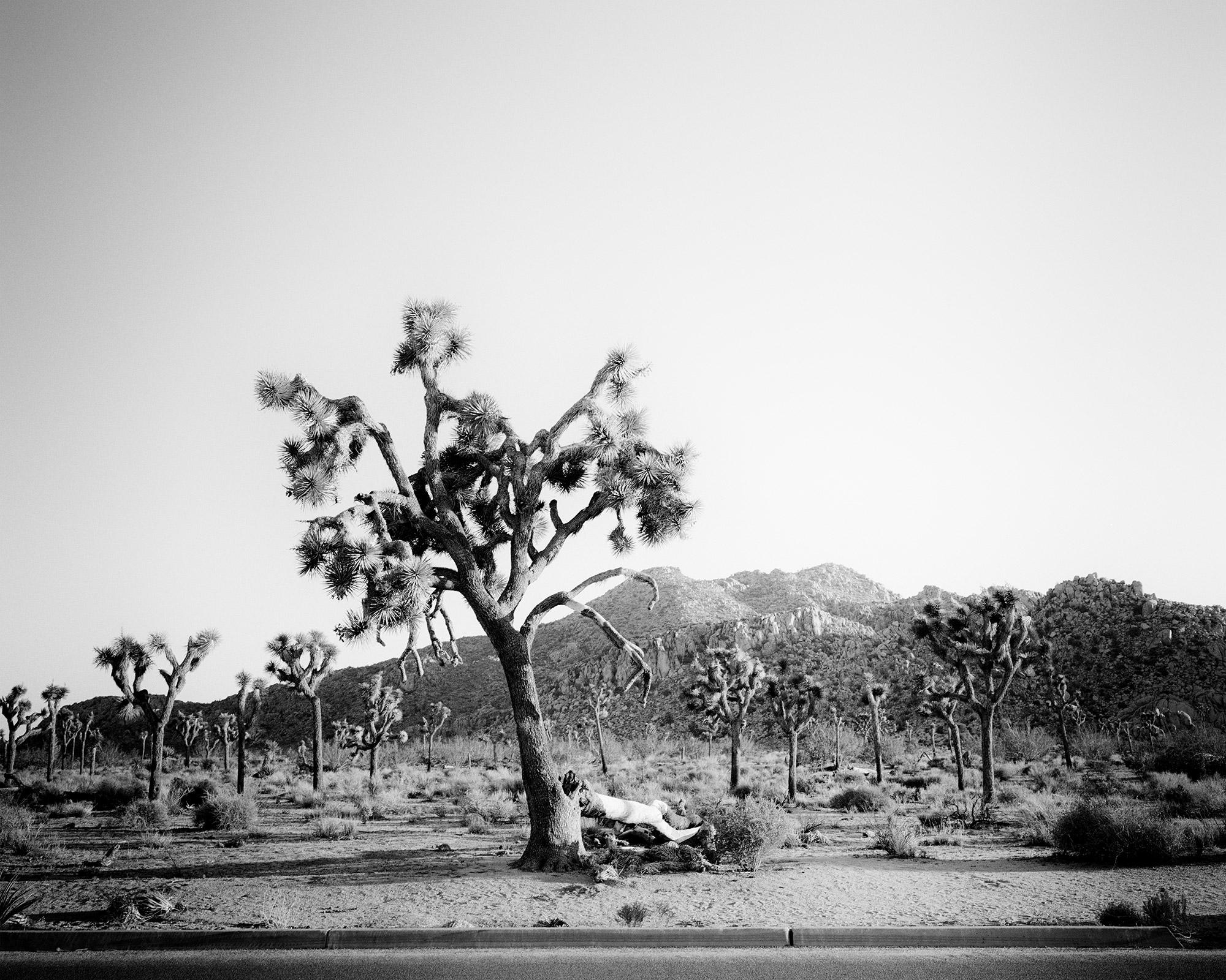 Gerald Berghammer Black and White Photograph - Joshua Tree, National park, California, USA, black & white landscape photography
