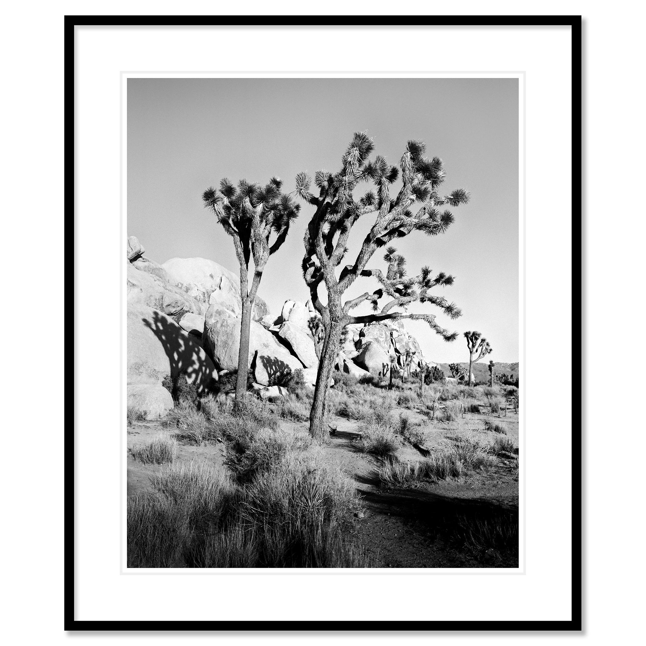 Parc national de Joshua Tree, Californie, États-Unis, photographie en noir et blanc, paysage en vente 1