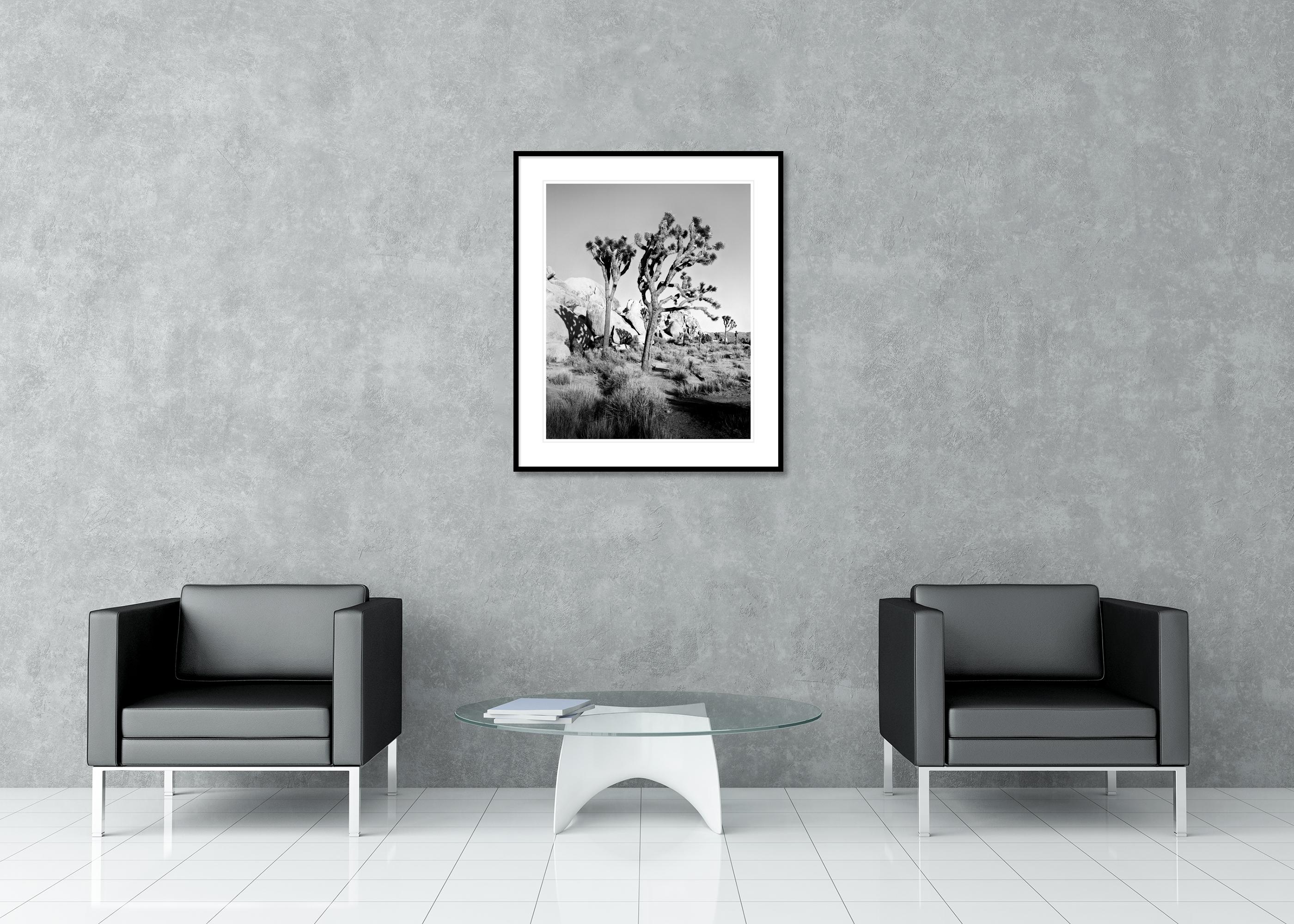 Parc national de Joshua Tree, Californie, États-Unis, photographie en noir et blanc, paysage en vente 2