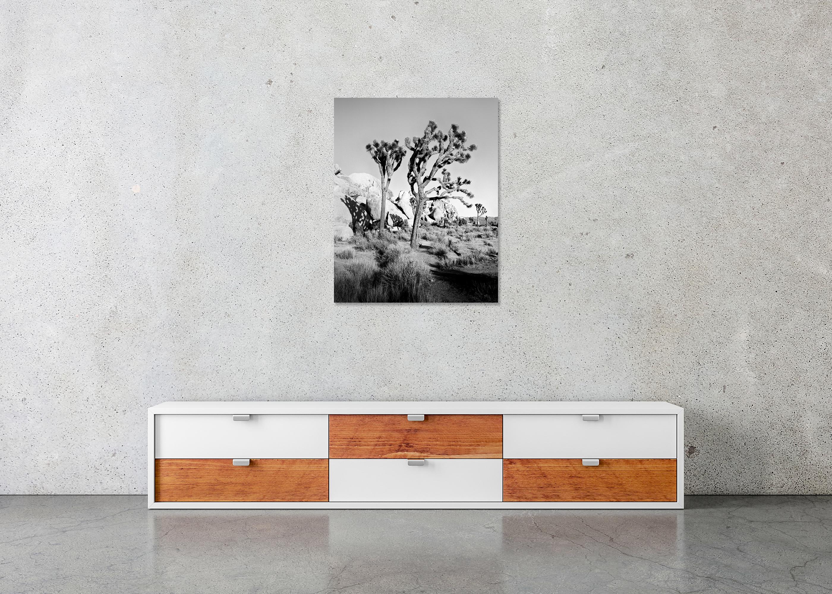 Parc national de Joshua Tree, Californie, États-Unis, photographie en noir et blanc, paysage en vente 4