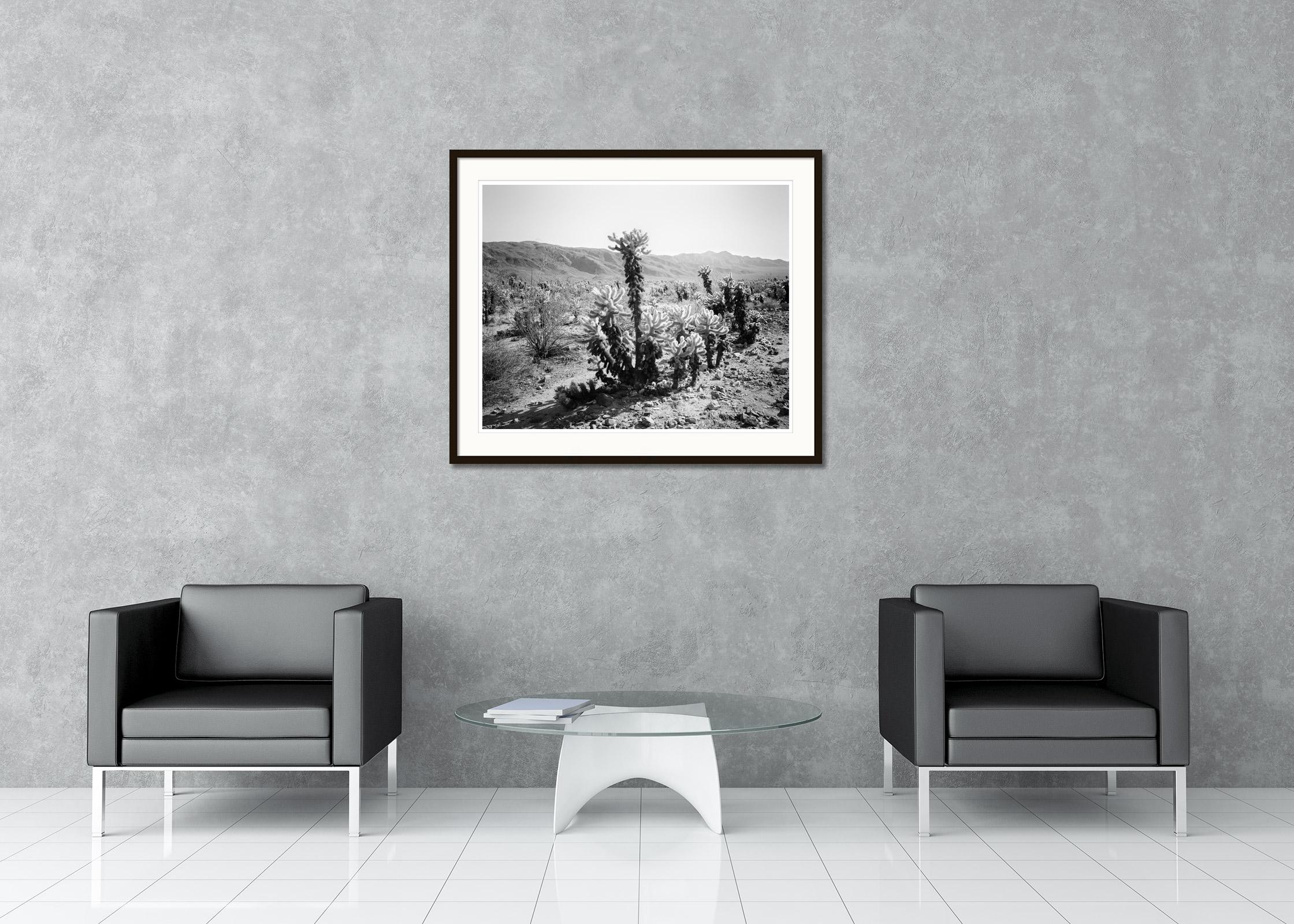Fotografia paesaggistica in bianco e nero. Stampa a inchiostro pigmentato d'archivio, edizione di 9 esemplari. Firmato, intitolato, datato e numerato dall'artista. Certificato di autenticità incluso. Stampato con un bordo bianco di 4 cm.
Il