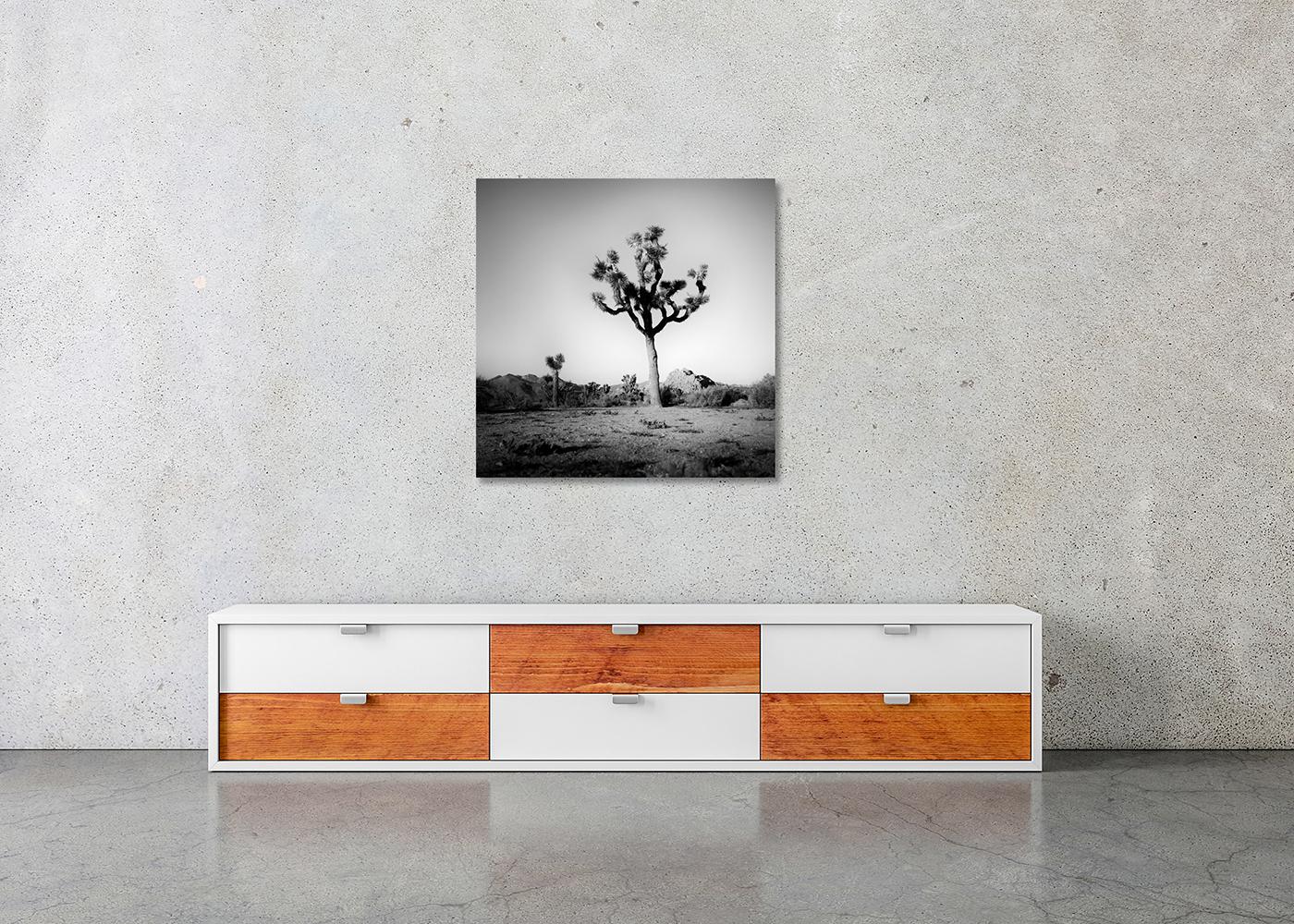 Joshua Tree, National Park, Fotografie in limitierter Auflage von Gerald Berghammer im Angebot 5