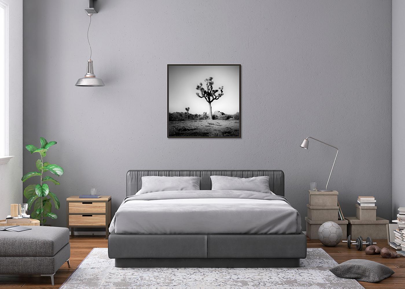 Joshua Tree, National Park, Fotografie in limitierter Auflage von Gerald Berghammer im Angebot 6