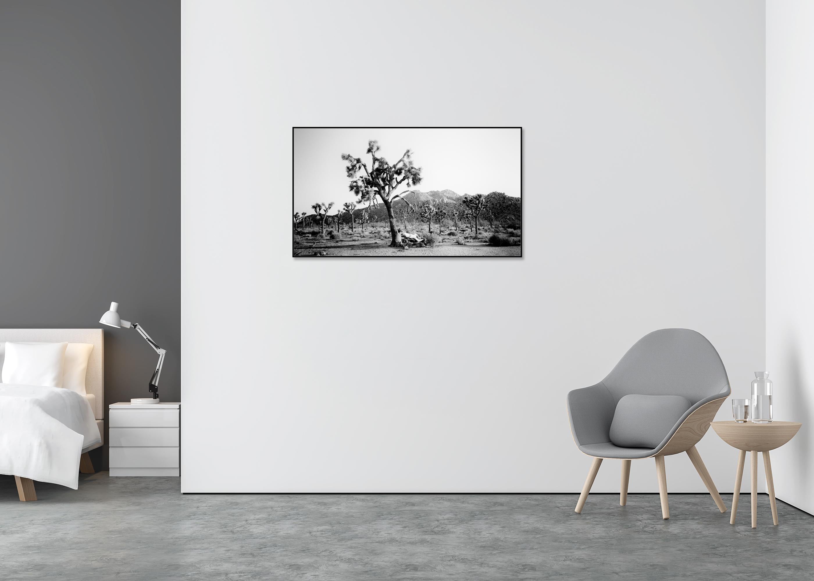 Panorama de Joshua Tree, parc national, Californie, États-Unis - paysage monochrome - Gris Black and White Photograph par Gerald Berghammer