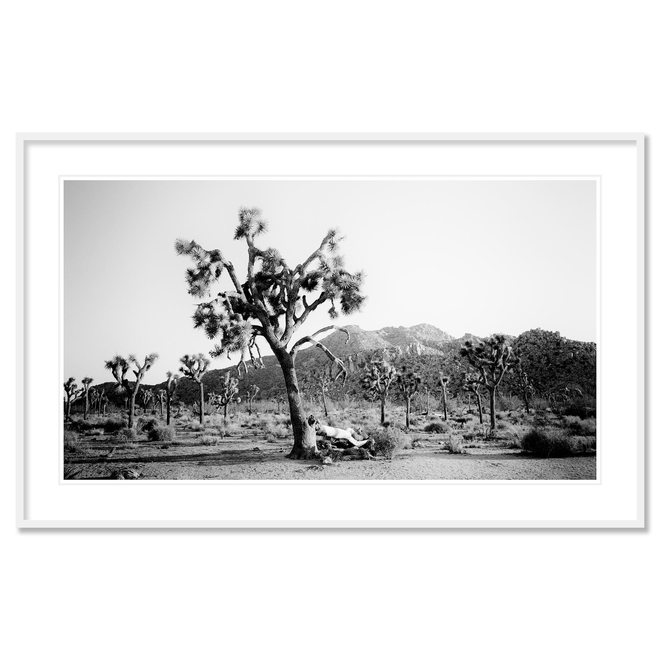 Photographie de paysage en noir et blanc. Tirage à l'encre pigmentaire d'archives faisant partie d'une édition limitée à 9 exemplaires. Tous les tirages de Gerald Berghammer sont réalisés sur commande en édition limitée sur papier baryté Hahnemuehle