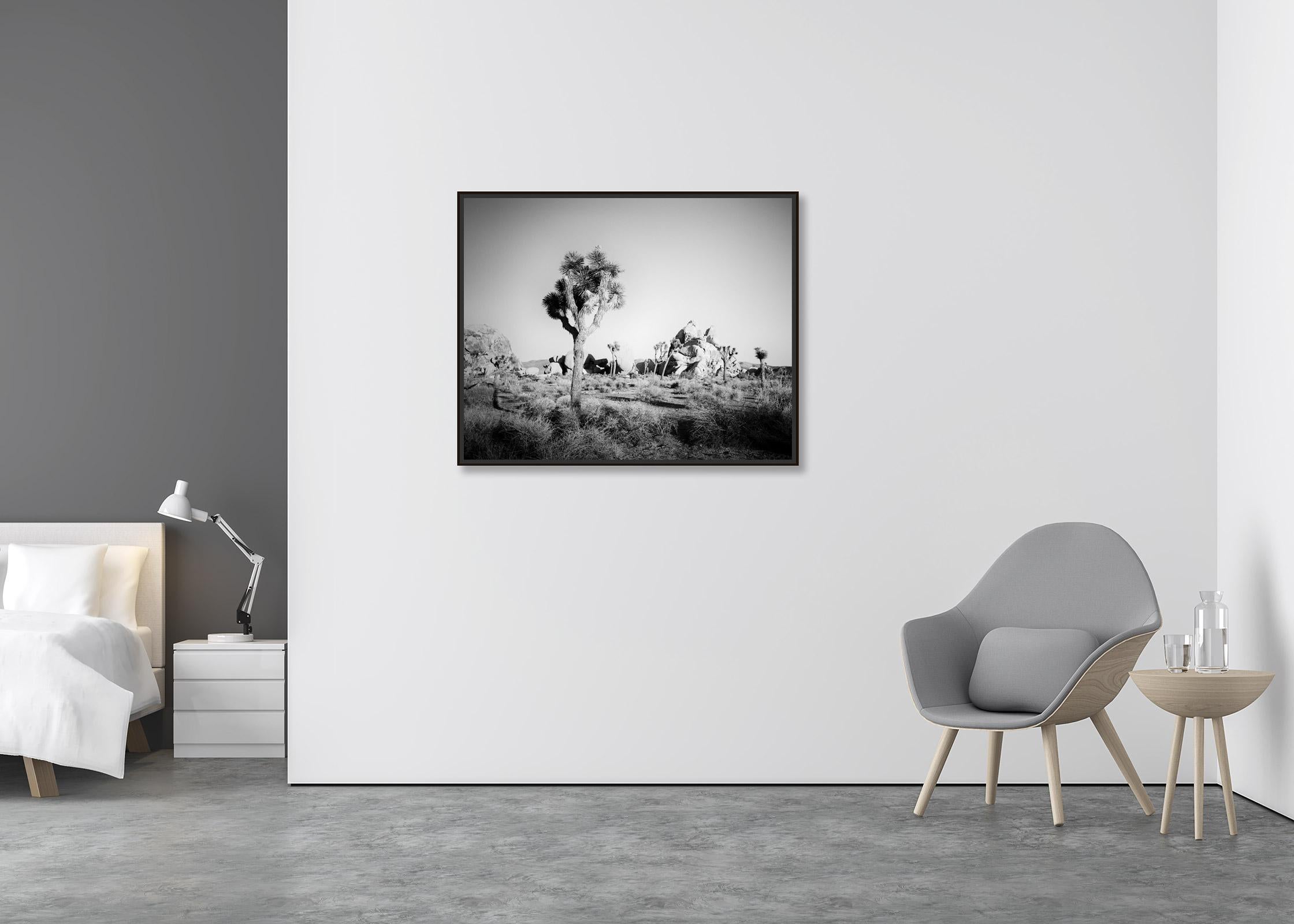 Joshua Tree, rochers, désert, Californie, photographie de paysage en noir et blanc - Contemporain Photograph par Gerald Berghammer