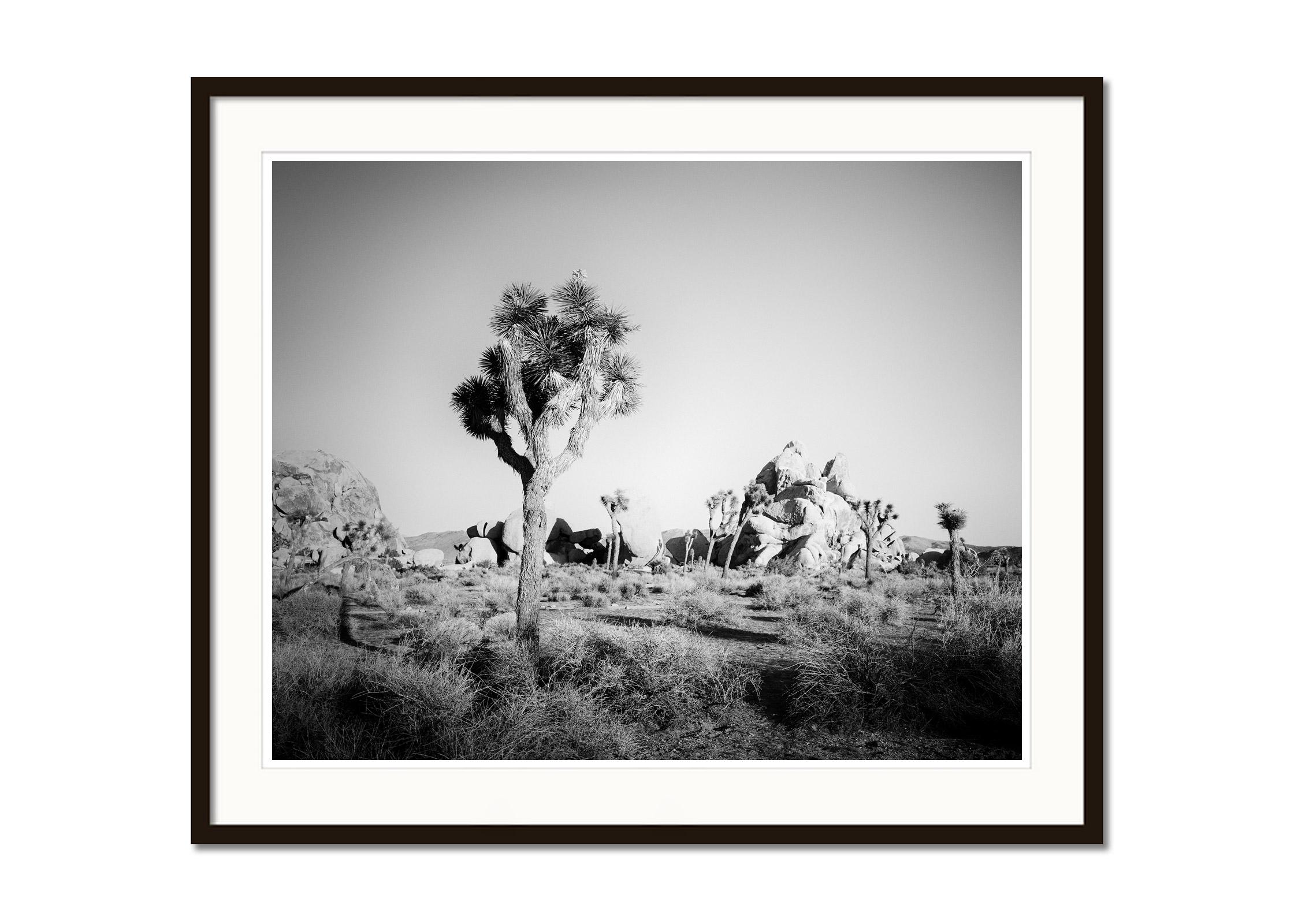 Joshua Tree, Rocks, Desert, California, USA, black white landscape photography - Gray Landscape Photograph by Gerald Berghammer