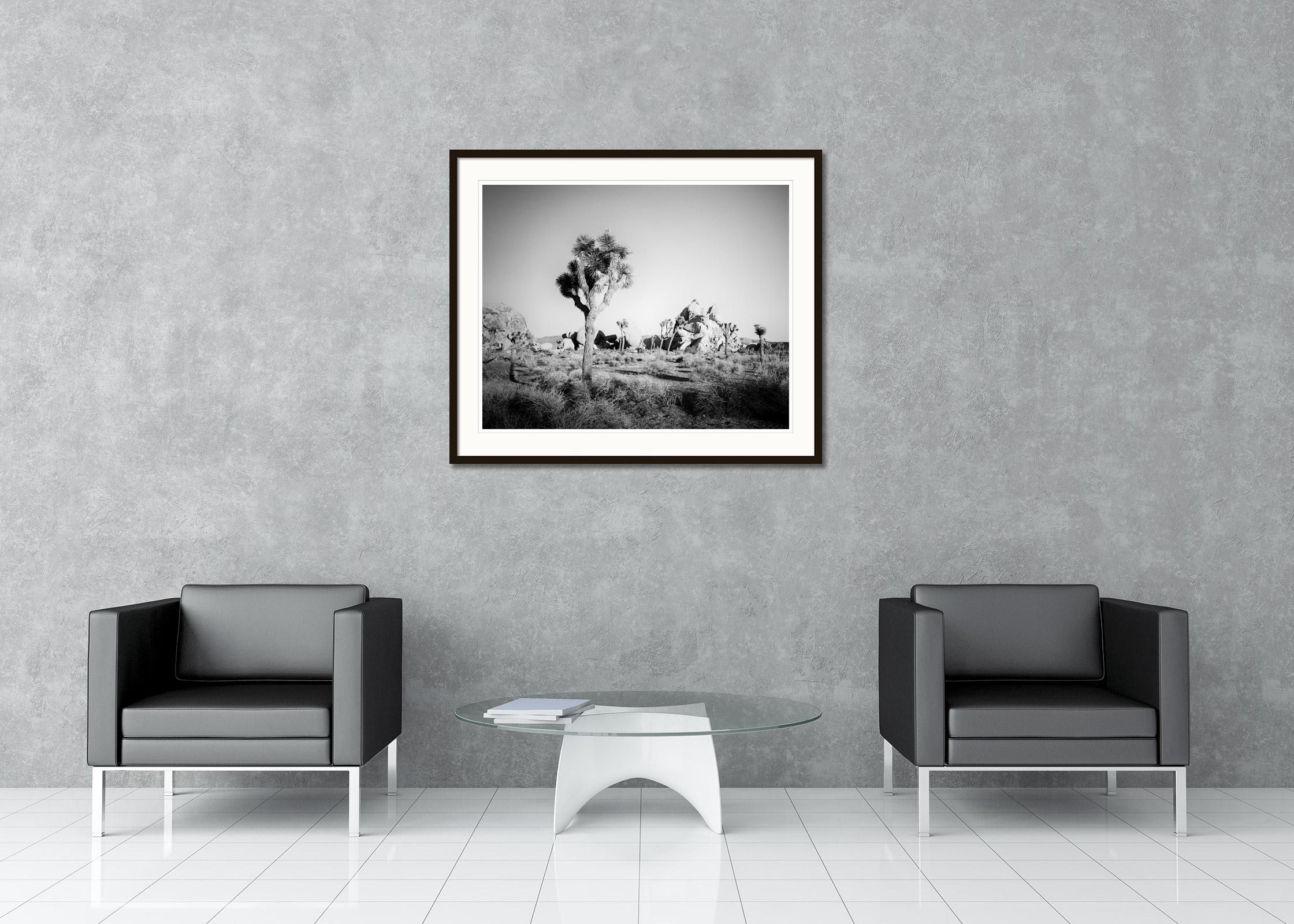 Gerald Berghammer - Limited edition of 9.
Archival fine art pigment print. Signed, titled, dated and numbered by artist. Certificate of authenticity included. Printed with 4cm white border.
15.75 x 19.69 in. (40 x 50 cm) edition of 9
23.63 x 29.53