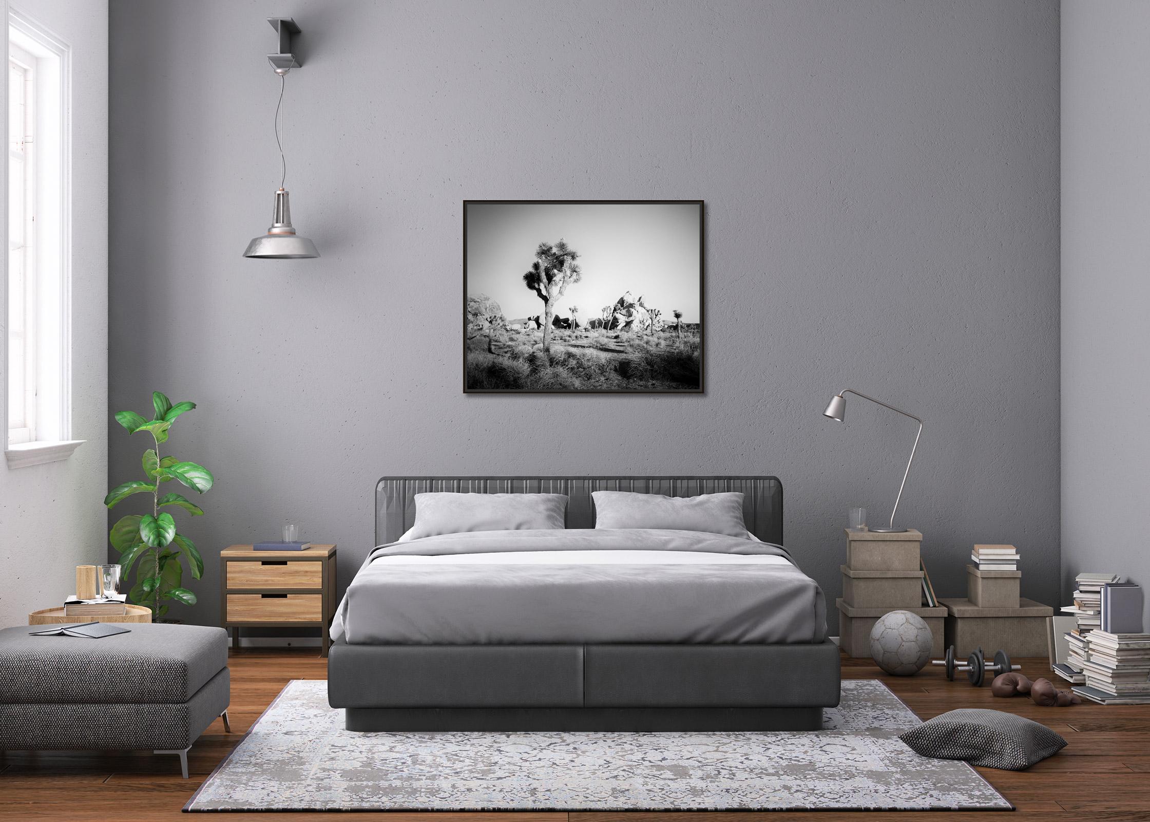 Joshua Tree, rochers, désert, Californie, photographie de paysage en noir et blanc en vente 1