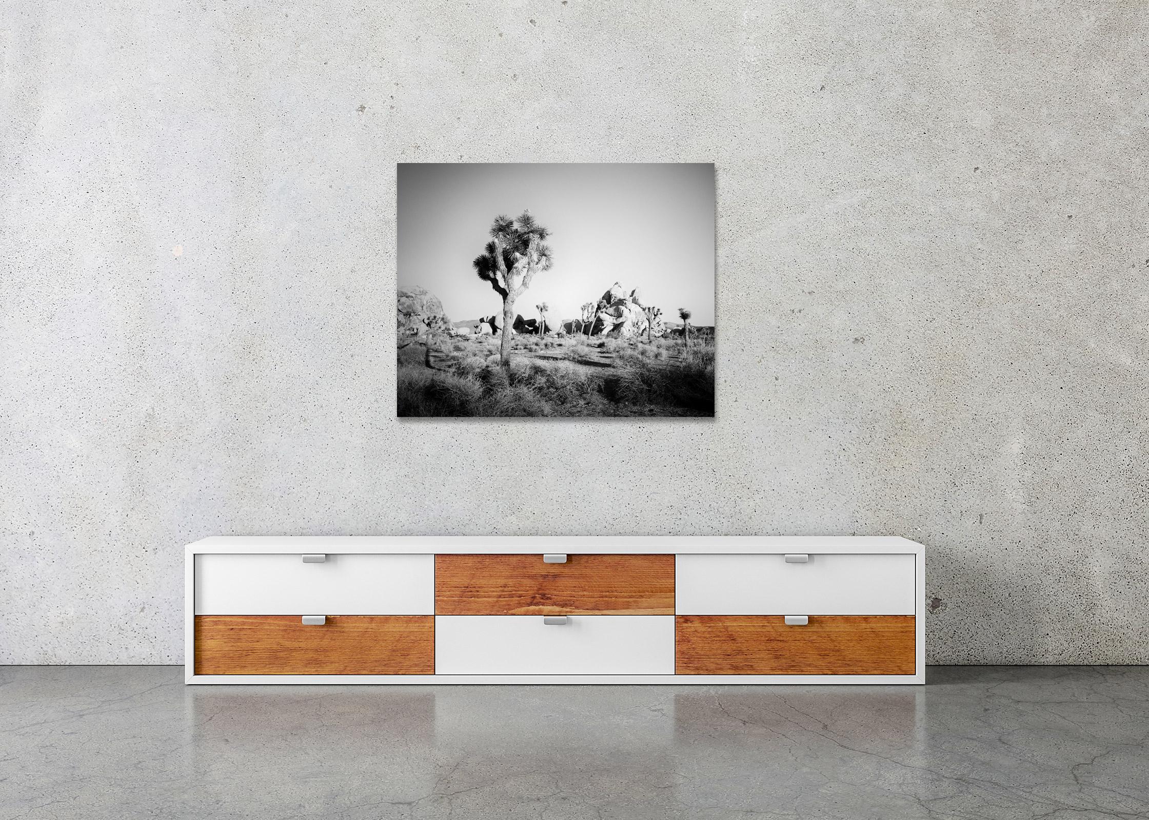 Joshua Tree, rochers, désert, Californie, photographie de paysage en noir et blanc en vente 2