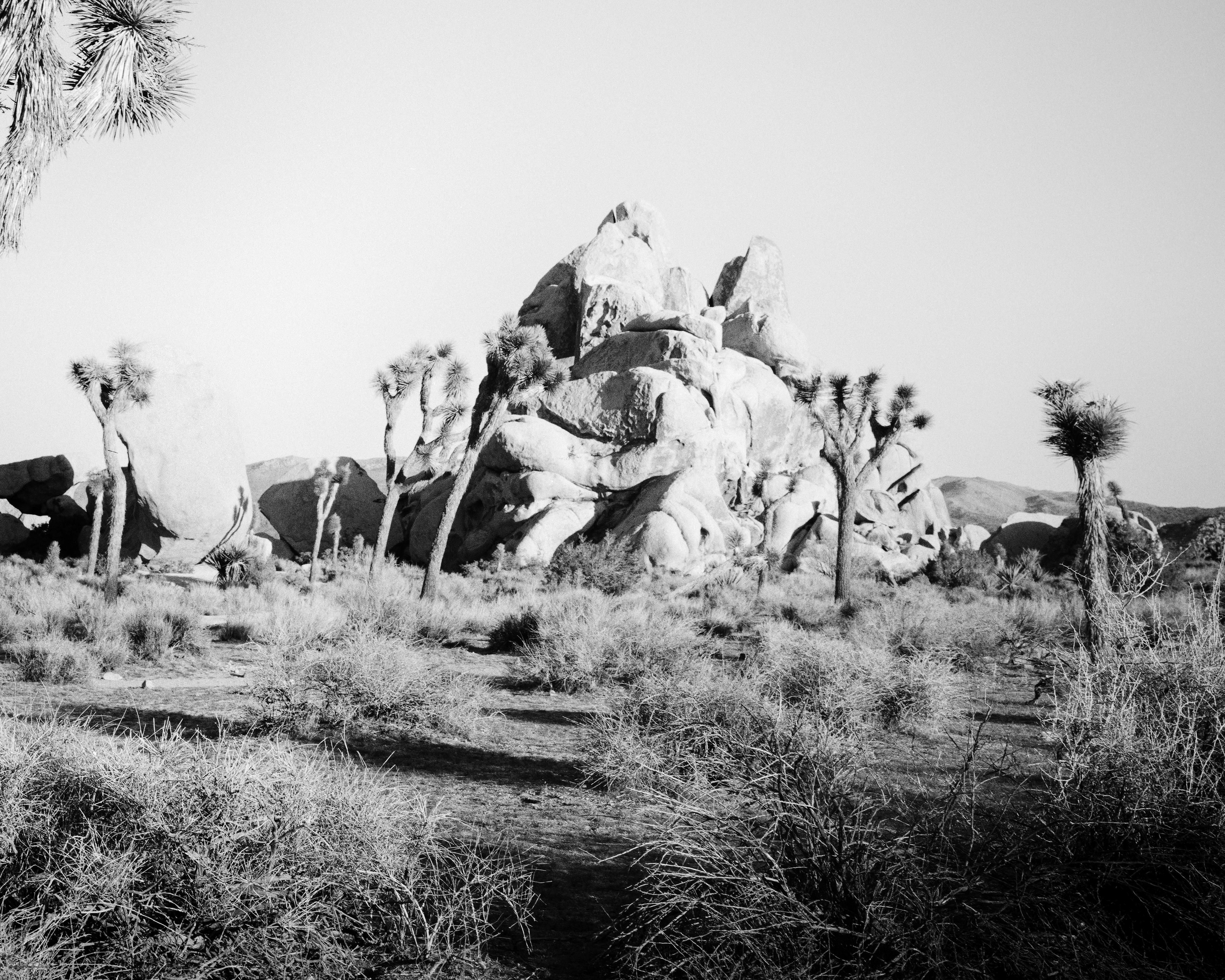 Joshua Tree, rochers, désert, Californie, photographie de paysage en noir et blanc en vente 4