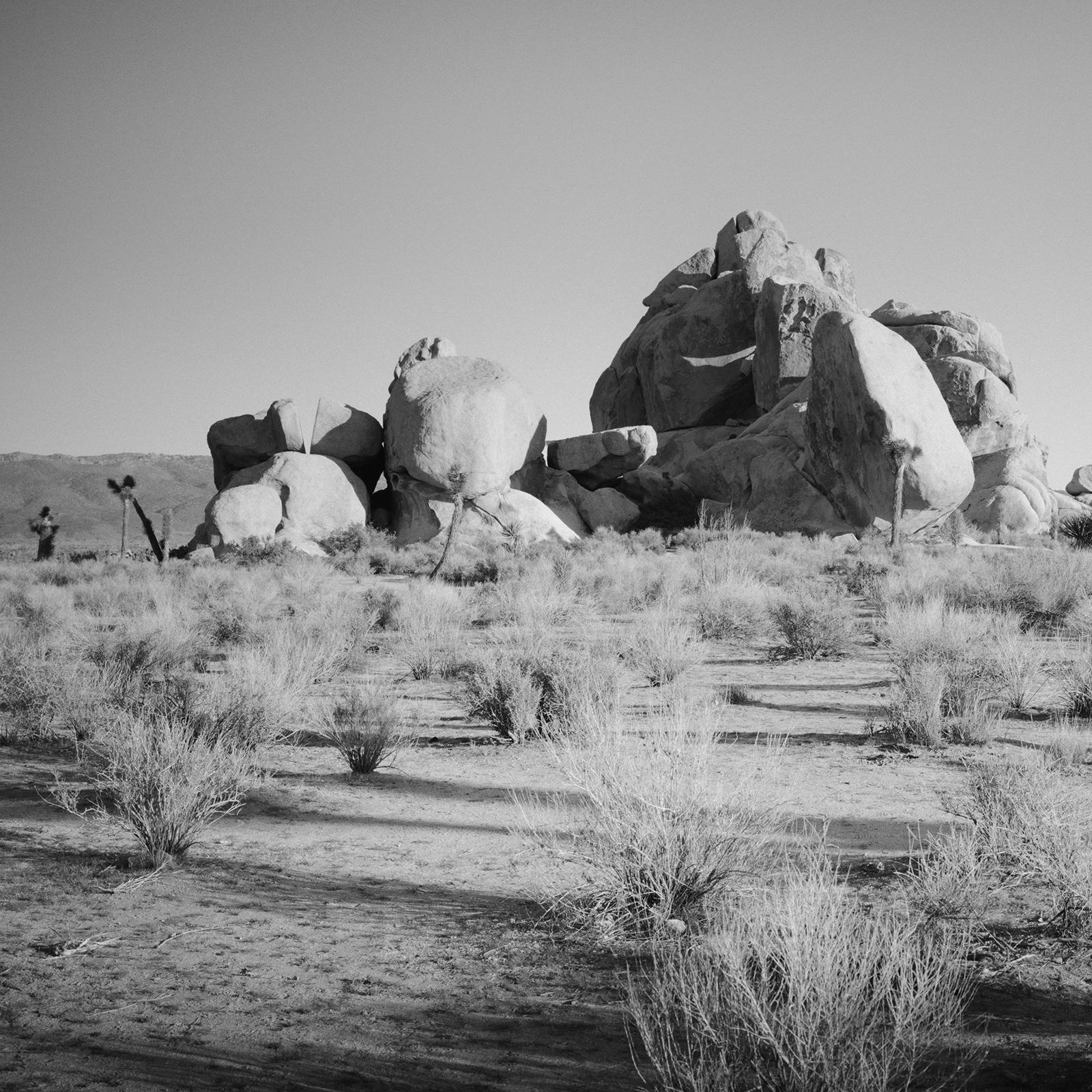 Joshua Bäume und Felsen, Kalifornien, USA, Schwarz-Weiß-Fotografie, Landschaft im Angebot 5