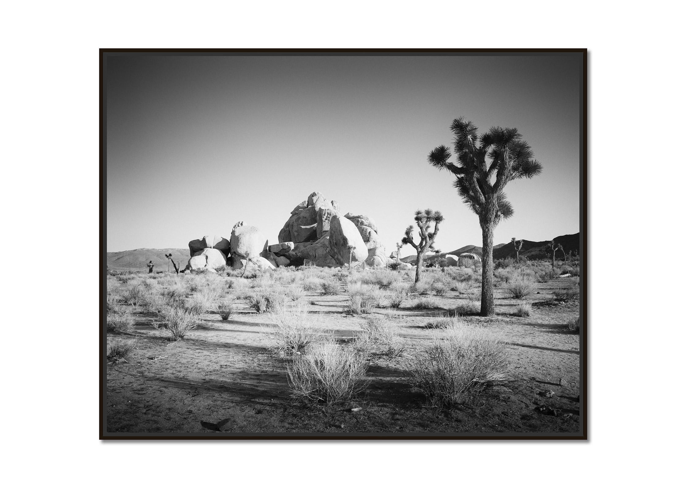 Joshua Trees and Rocks, California, USA, black and white photography, landscape - Photograph by Gerald Berghammer