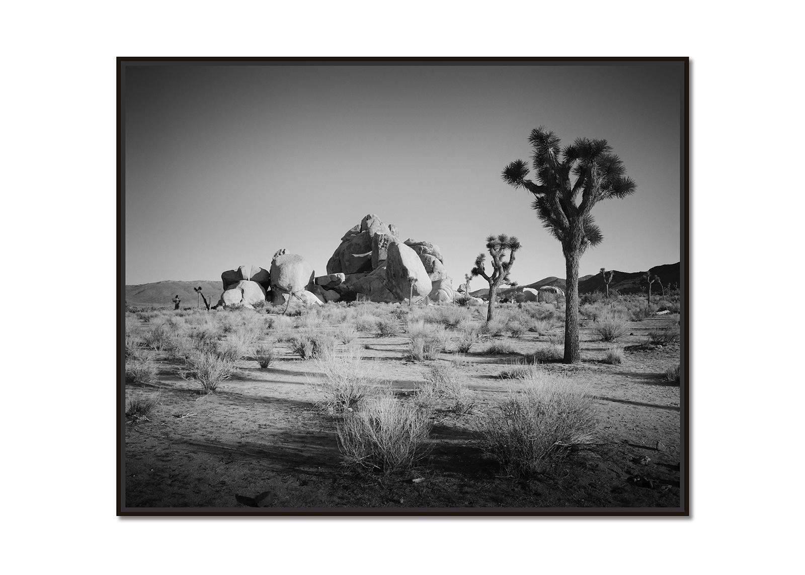 Joshua Bäume und Felsen, Kalifornien, USA, Schwarz-Weiß-Fotografie, Landschaft – Photograph von Gerald Berghammer