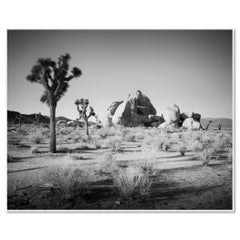 Arbres et rochers de Joshua, Californie, États-Unis, photographie en noir et blanc, paysage