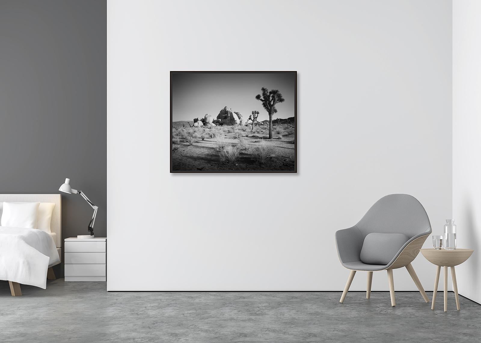 Joshua Bäume und Felsen, Kalifornien, USA, Schwarz-Weiß-Fotografie, Landschaft (Zeitgenössisch), Photograph, von Gerald Berghammer