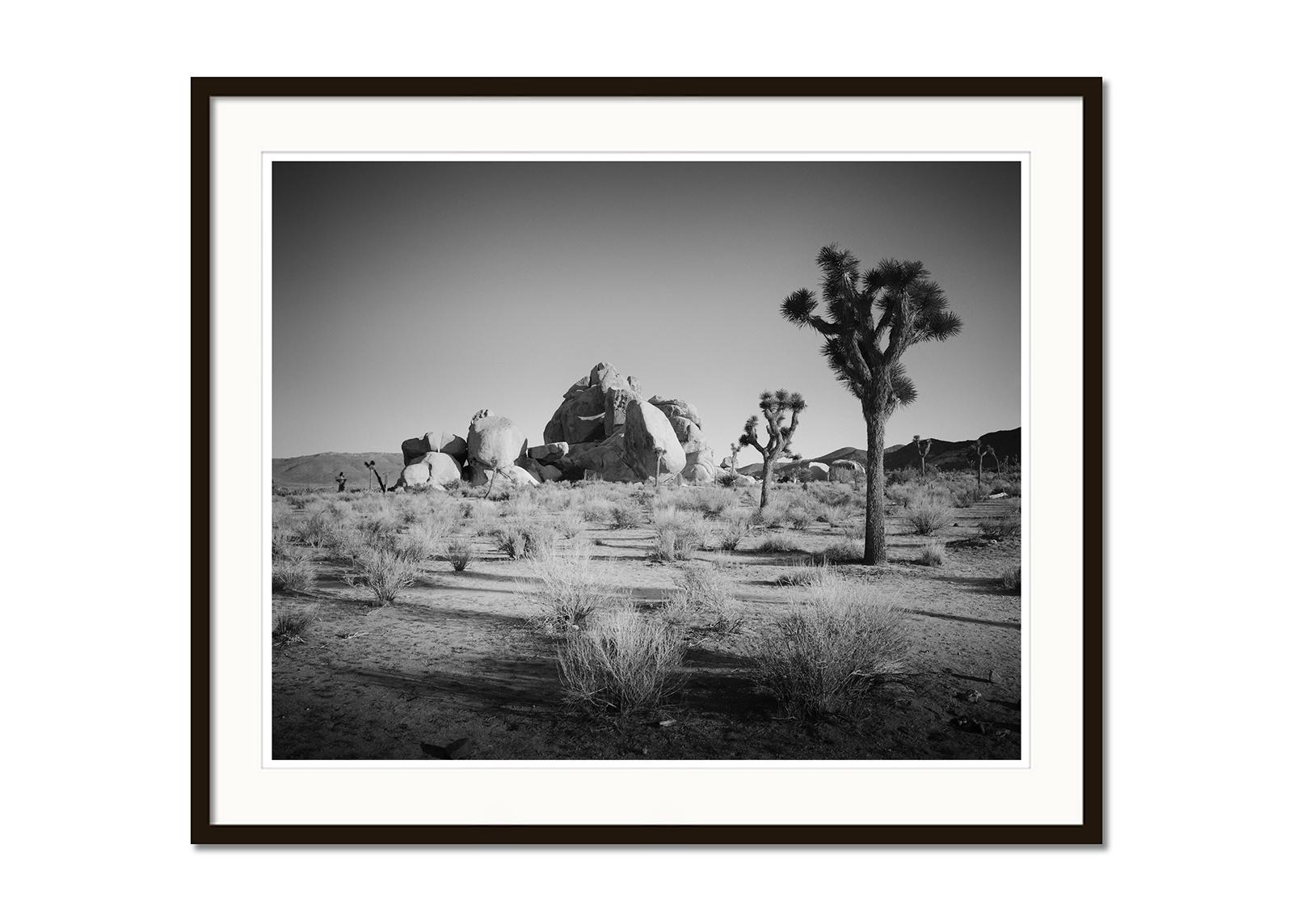 Joshua Bäume und Felsen, Kalifornien, USA, Schwarz-Weiß-Fotografie, Landschaft (Grau), Landscape Photograph, von Gerald Berghammer