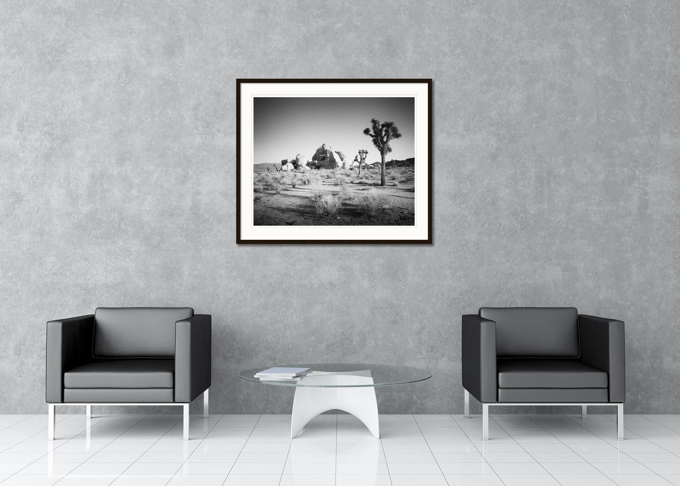 Joshua Trees and Rocks, California, USA, black and white photography, landscape - Contemporary Photograph by Gerald Berghammer