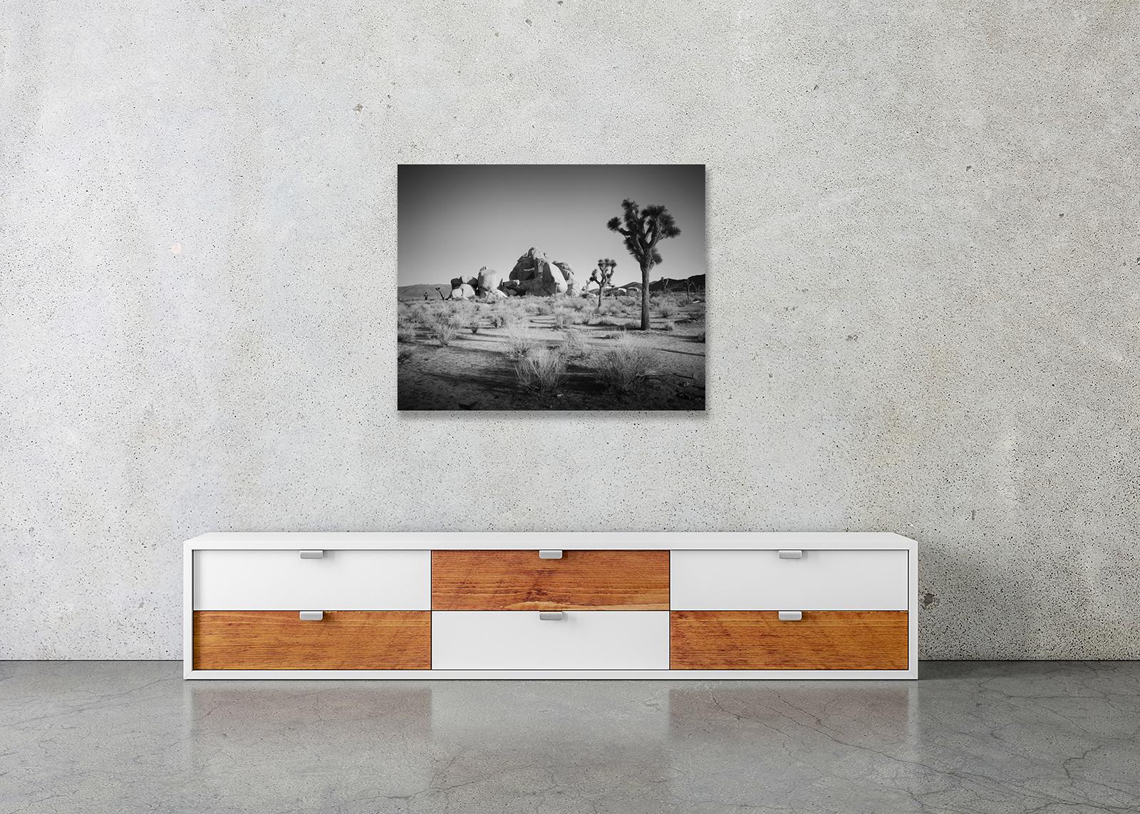 Joshua Bäume und Felsen, Kalifornien, USA, Schwarz-Weiß-Fotografie, Landschaft im Angebot 1
