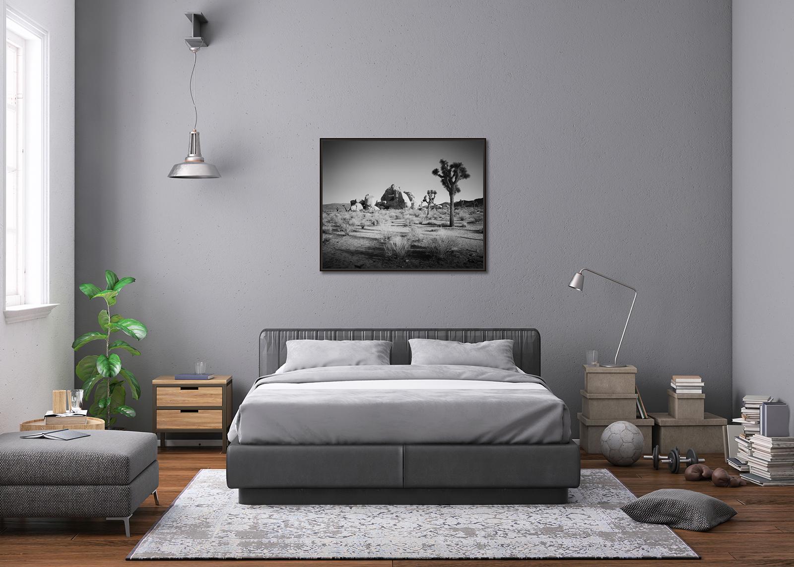 Joshua Bäume und Felsen, Kalifornien, USA, Schwarz-Weiß-Fotografie, Landschaft im Angebot 2