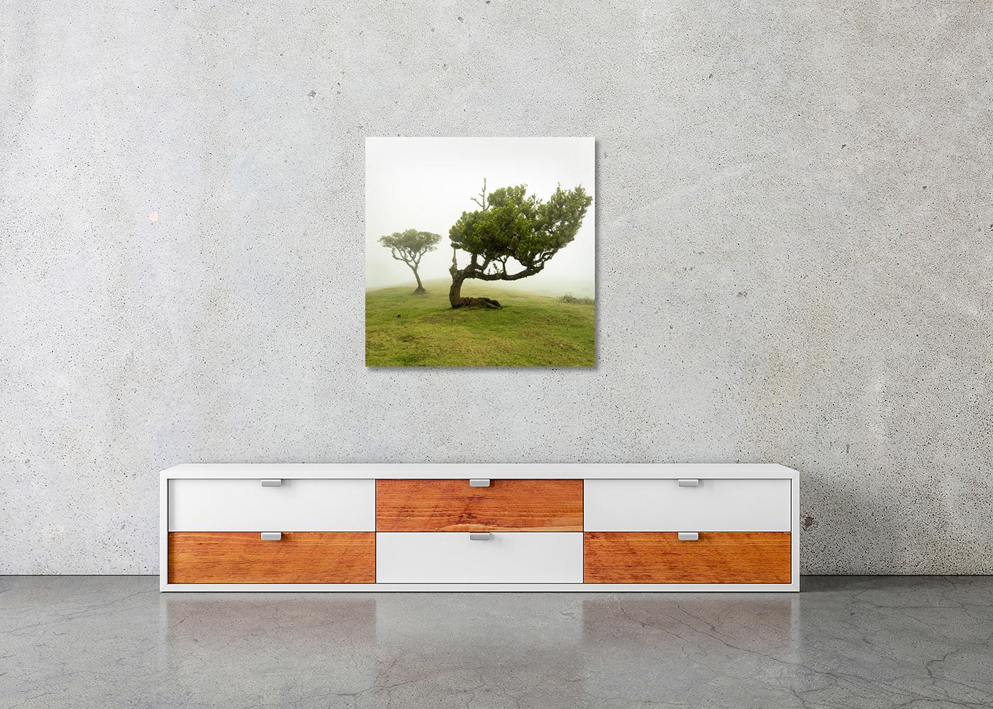 Albero piegato, fotografia su larga scala, paesaggio minimalista, stampa in edizione limitata in vendita 2