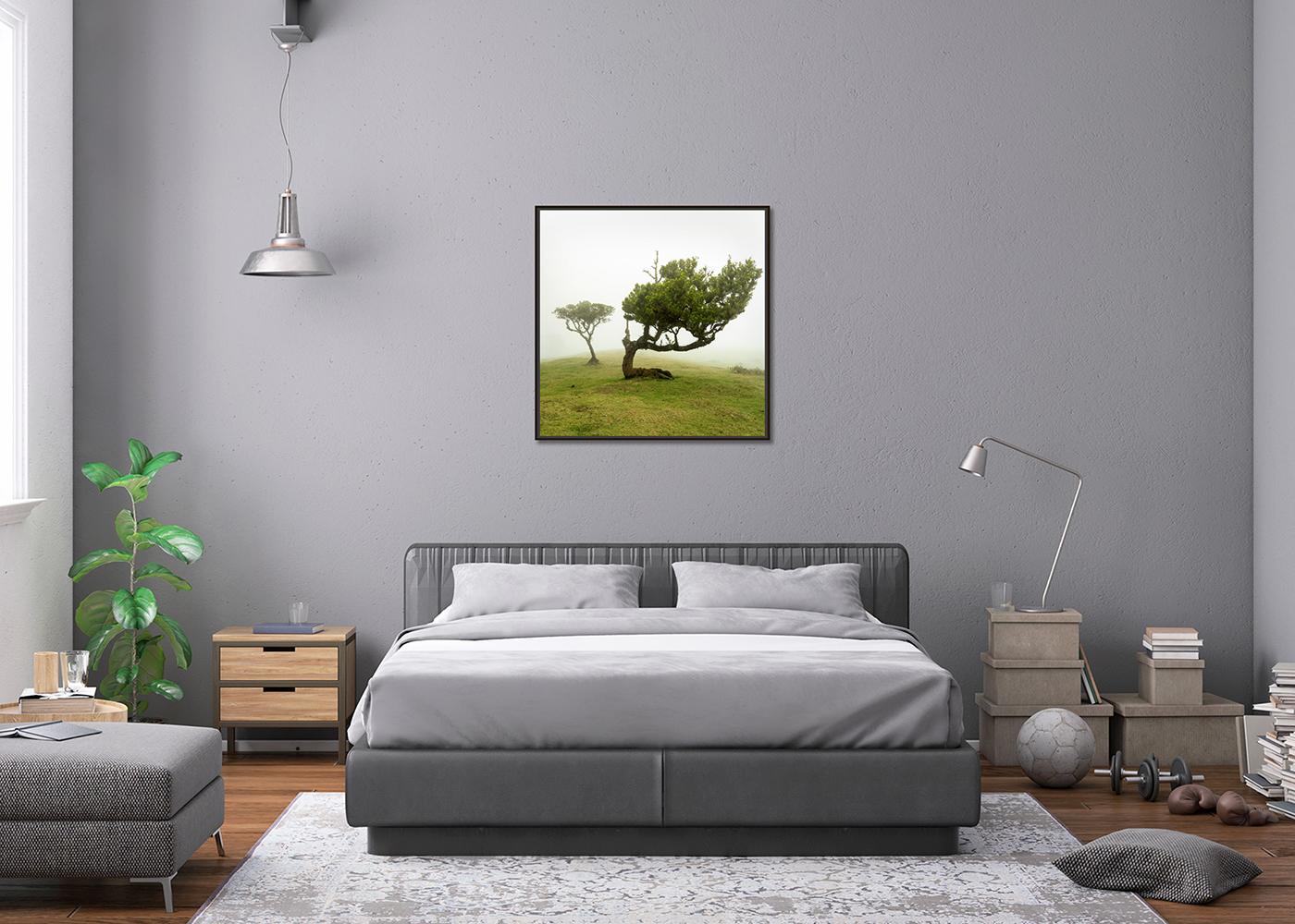 Albero piegato, fotografia su larga scala, paesaggio minimalista, stampa in edizione limitata in vendita 1