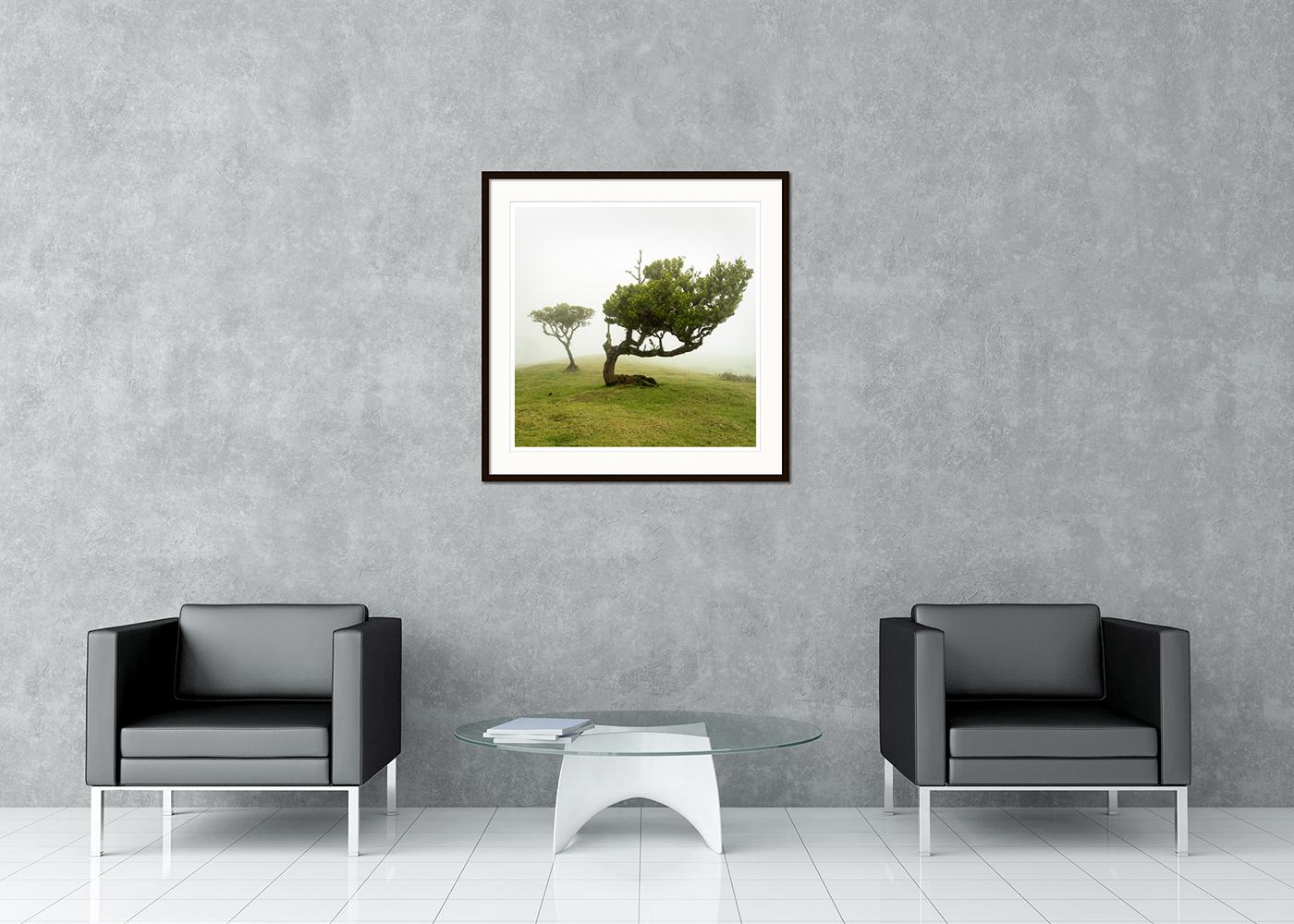 Fotografia paesaggistica artistica a colori. Stampa con inchiostro a pigmenti d'archivio in edizione limitata di 8 esemplari. Tutte le stampe di Gerald Berghammer sono realizzate su ordinazione in edizione limitata su Hahnemuehle Photo Rag Baryta.