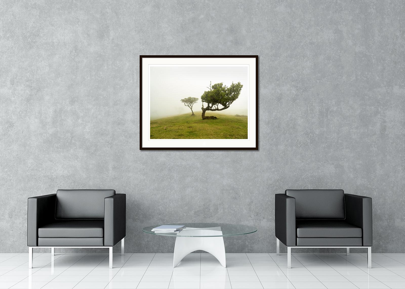Farbige Landschaftsfotografie in der bildenden Kunst. Pigmenttintendruck in einer limitierten Auflage von 8 Exemplaren. Alle Drucke von Gerald Berghammer werden auf Bestellung in limitierter Auflage auf Hahnemuehle Photo Rag Baryta hergestellt.