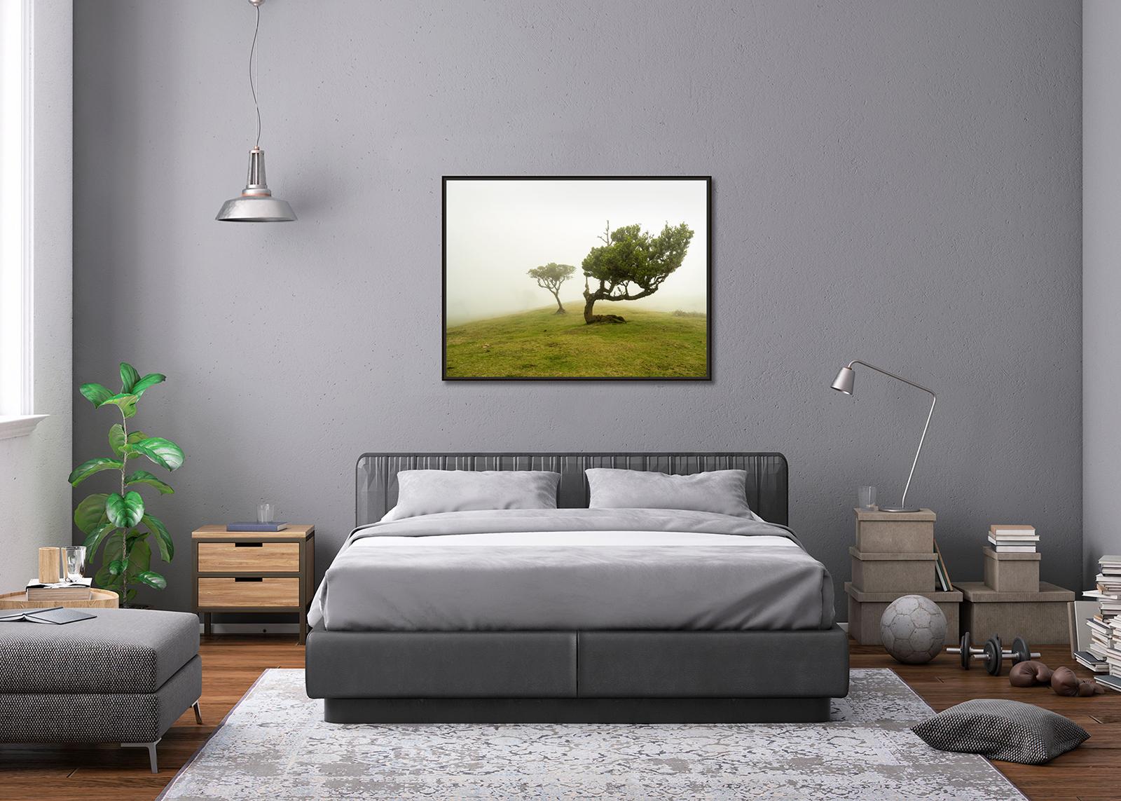 Laurel Forest, Bent Tree, große Farbfotografie, Landschaft, limitierte Auflage im Angebot 1