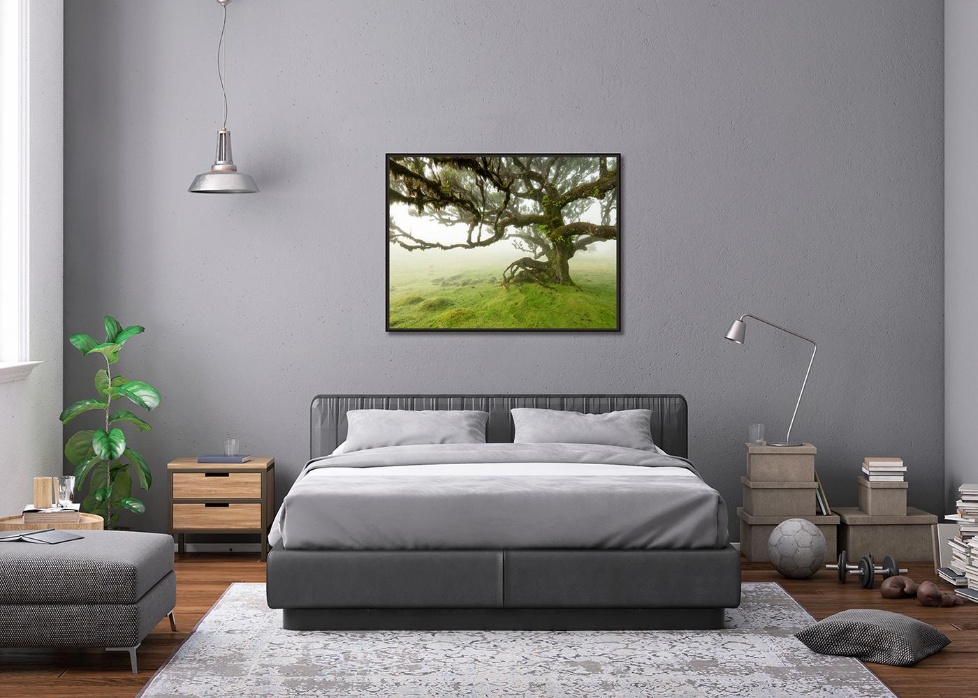 Laurel Forest, Mystik Baum, große Farbfotografie, Landschaft, limitierte Auflage im Angebot 2