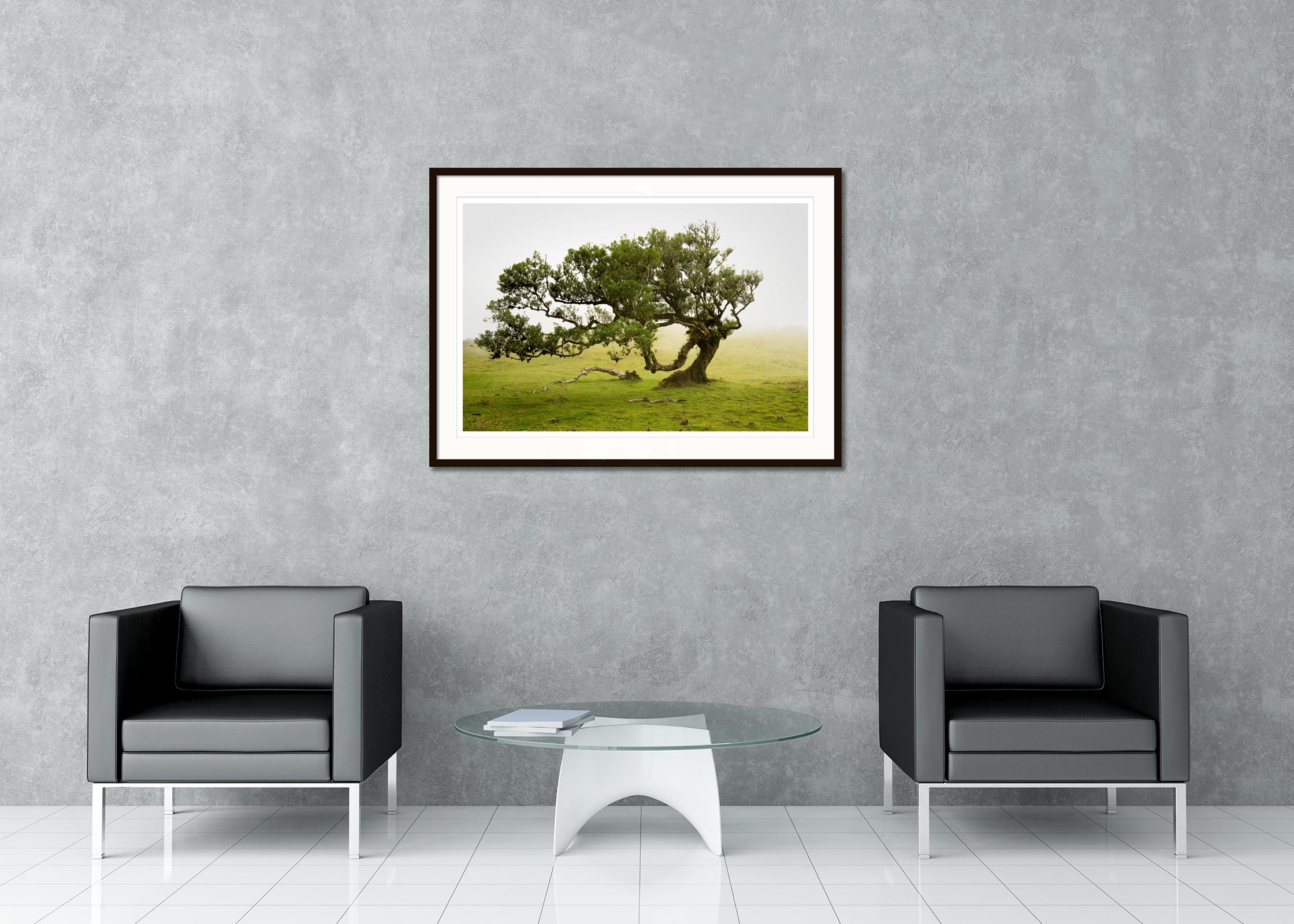 Fotografia di paesaggio a colori e in bianco. Stampa con inchiostro a pigmenti d'archivio in edizione limitata di 8 esemplari. Tutte le stampe di Gerald Berghammer sono realizzate su ordinazione in edizione limitata su Hahnemuehle Photo Rag Baryta.