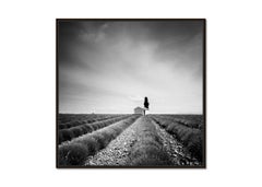 Lavendelfarbenes Feld, Haus mit Baum, Frankreich, Schwarz-Weiß-Landschaft, Fotografie