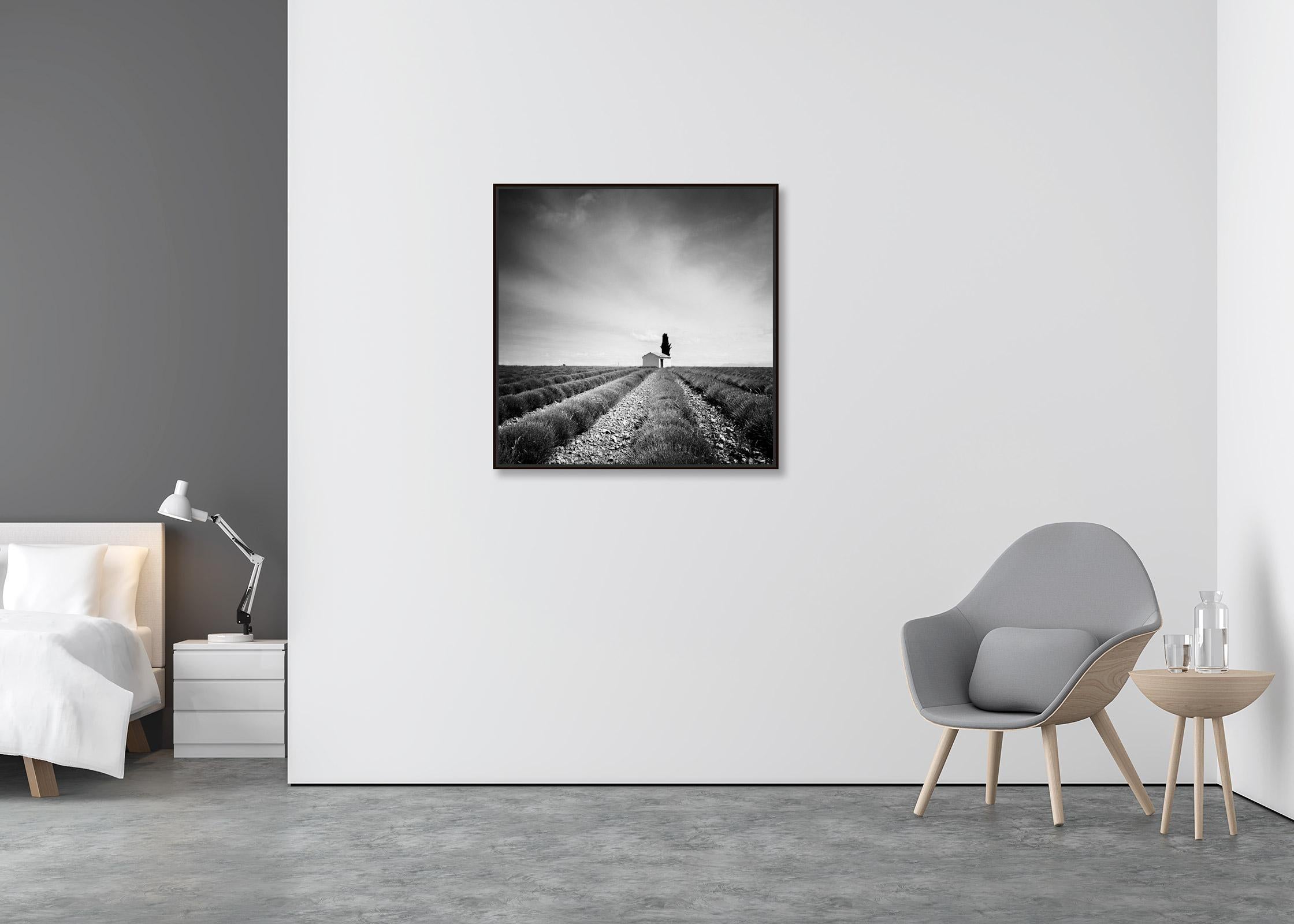 Lavender Field house with tree France black white fine art landscape photography - Contemporary Photograph by Gerald Berghammer