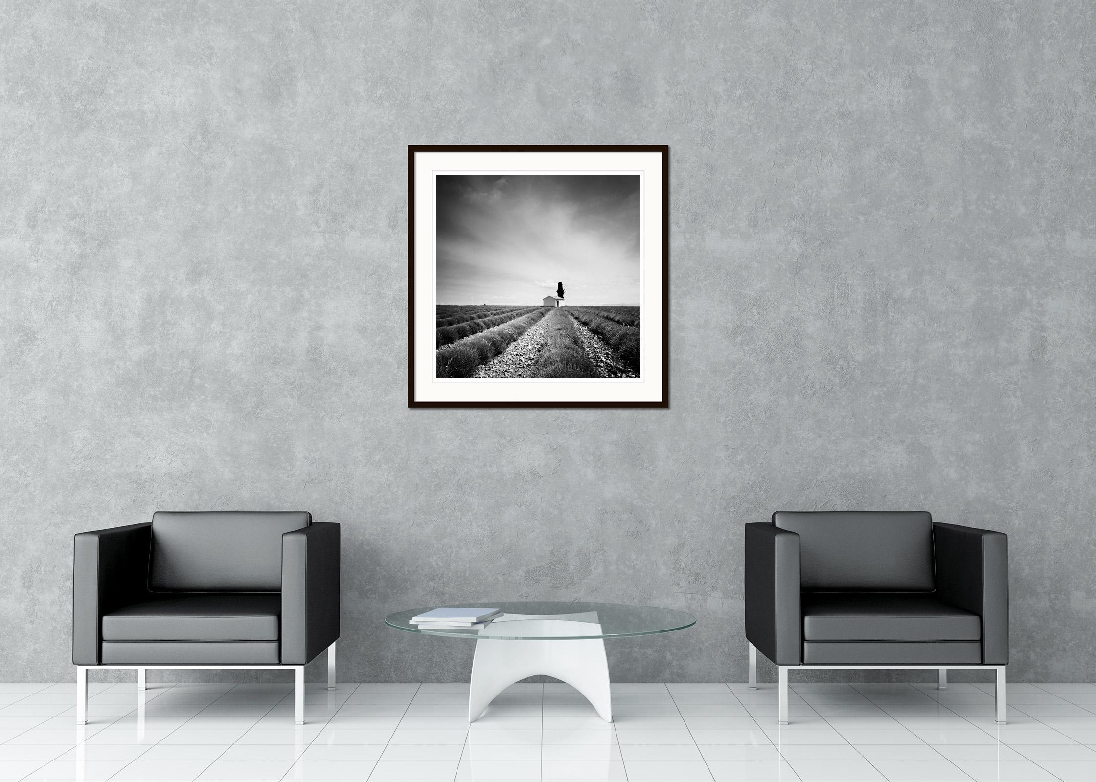 Photographie de paysages panoramiques en noir et blanc. Maison avec un seul arbre dans le magnifique champ de lavande dans la province de France. Épreuve à l'encre pigmentaire d'archives, édition de 9 exemplaires. Signée, titrée, datée et numérotée