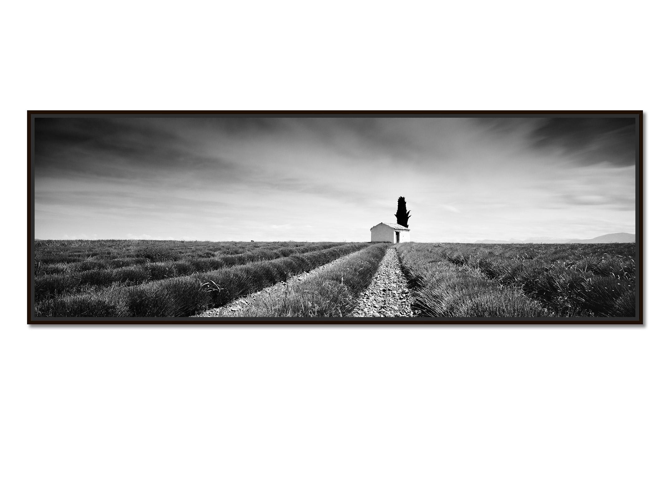 Lavender Field Panorama, France, black and white fine art landscape photography - Photograph by Gerald Berghammer