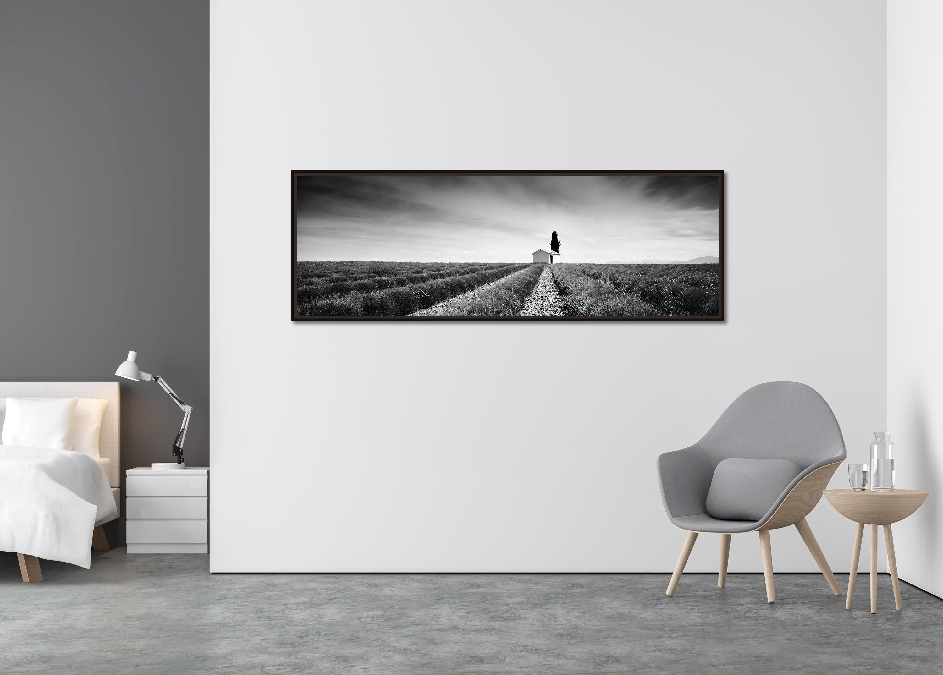 Lavender Field Panorama, France, black and white fine art landscape photography - Contemporary Photograph by Gerald Berghammer