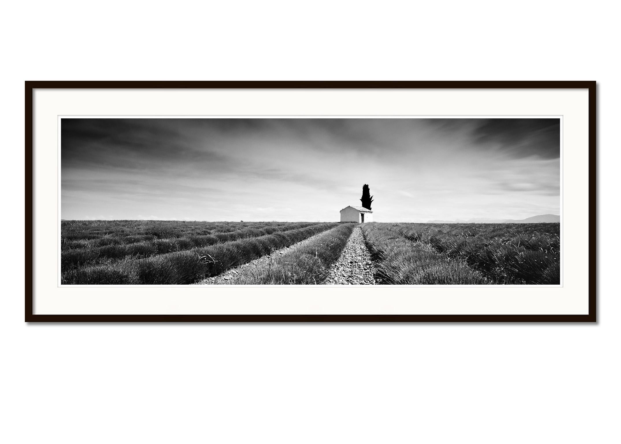 Lavender Field Panorama, France, black and white fine art landscape photography - Gray Black and White Photograph by Gerald Berghammer