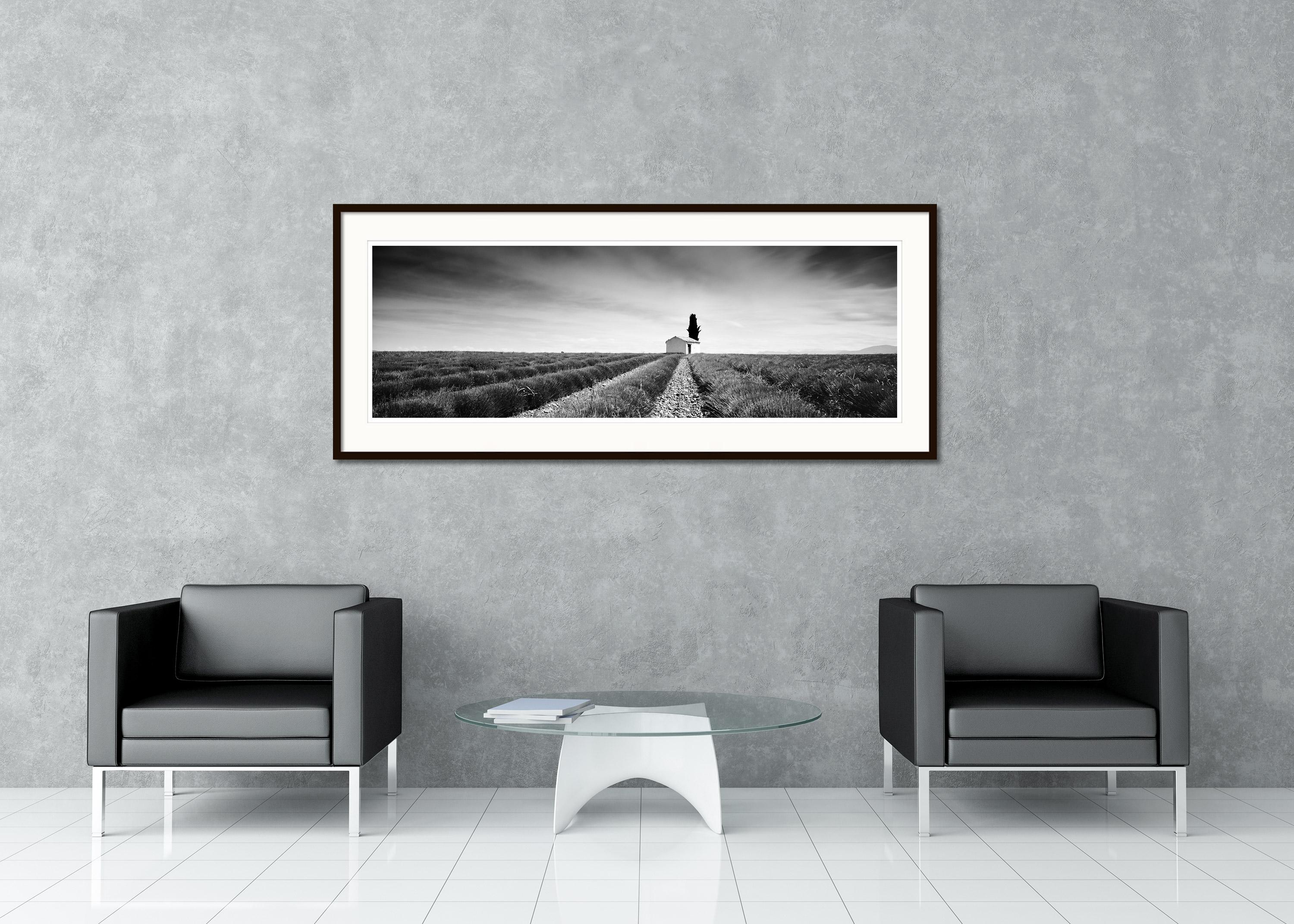 Photographie panoramique en noir et blanc - Petite cabane avec un arbre dans un champ de lavande, France. Épreuve à l'encre pigmentaire d'archives, édition de 7 exemplaires. Signée, titrée, datée et numérotée par l'artiste. Certificat d'authenticité