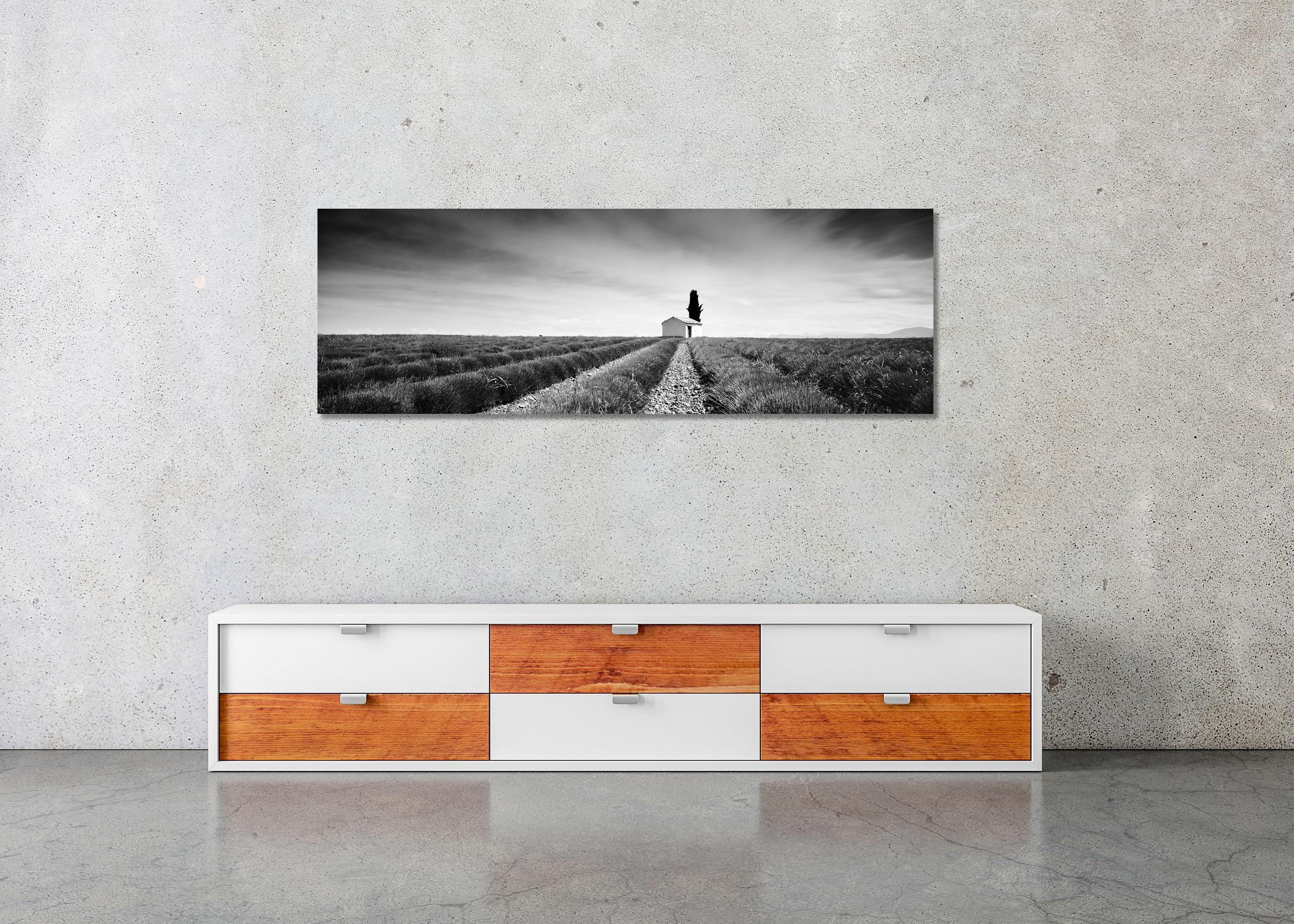 Panorama du champ de lavande, France, photographie de paysage en noir et blanc en vente 2