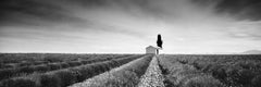 Lavender Field Panorama, France, black and white fine art landscape photography