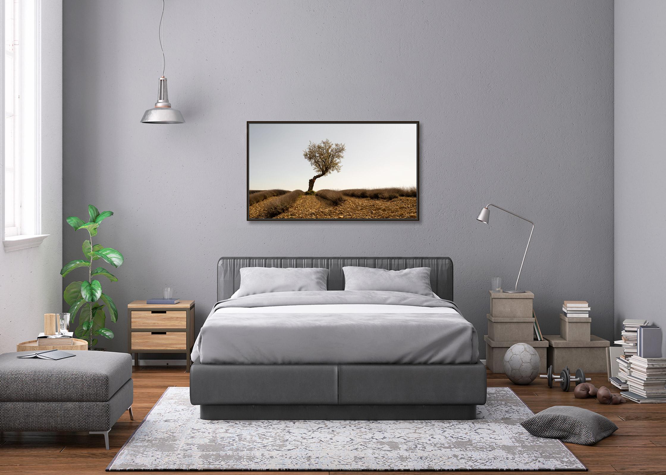 Campo de lavanda con árbol, fotografía artística en color, paisaje, edición limitada en venta 3