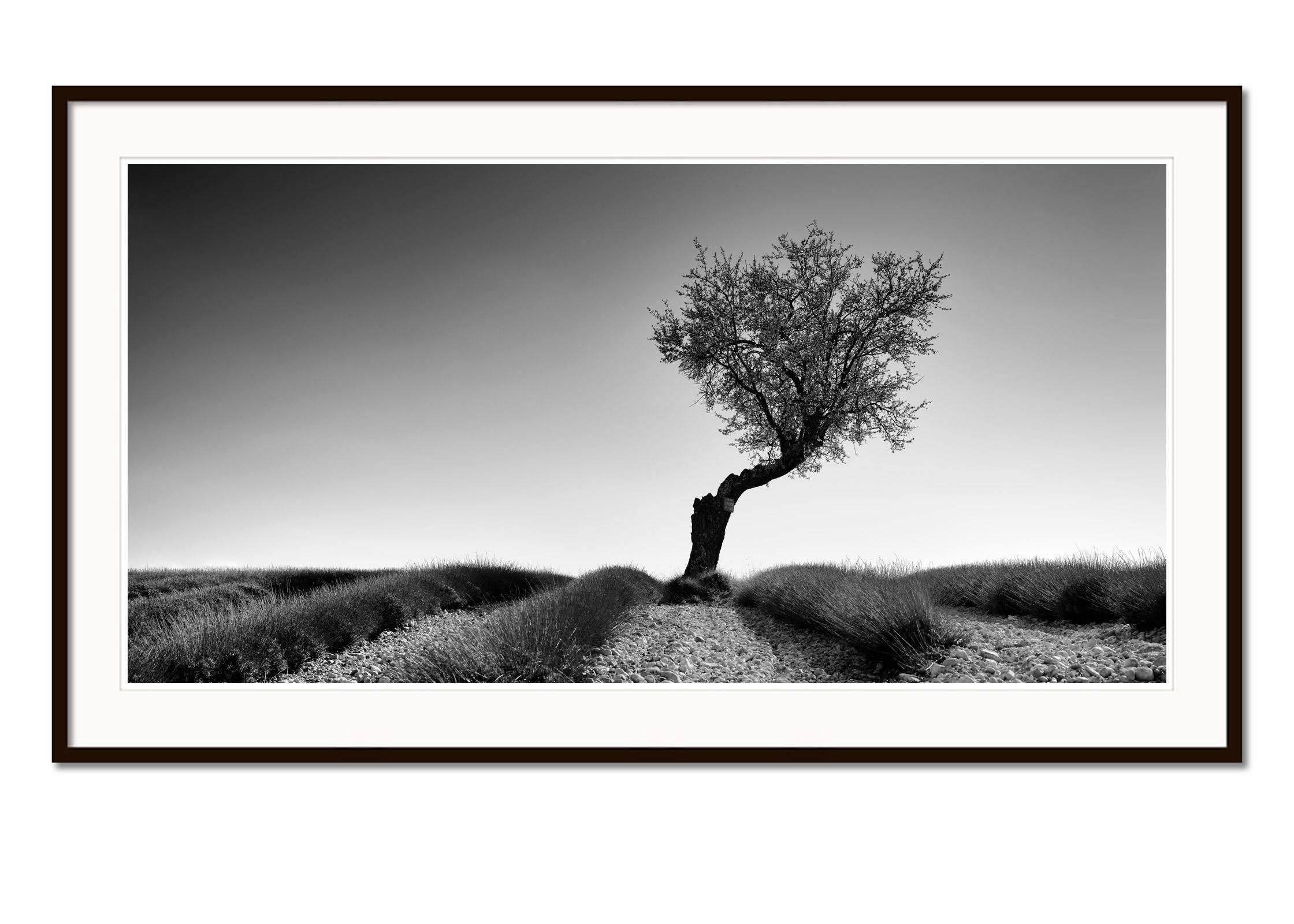 Black and white fine art landscape photography. Archival pigment ink print as part of a limited edition of 8. All Gerald Berghammer prints are made to order in limited editions on Hahnemuehle Photo Rag Baryta. Each print is stamped on the back and